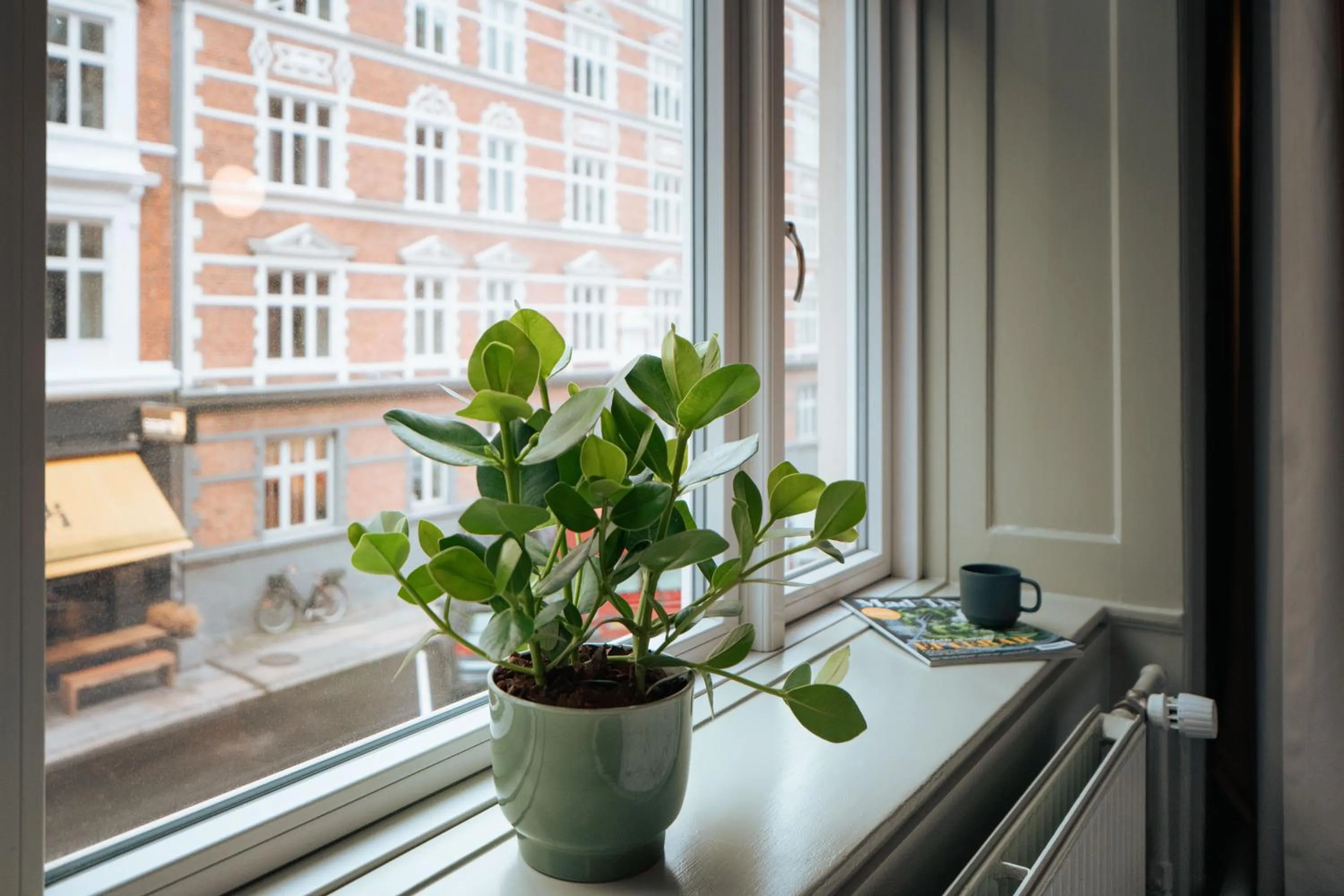 View (from property/room) in Hotel Mayfair