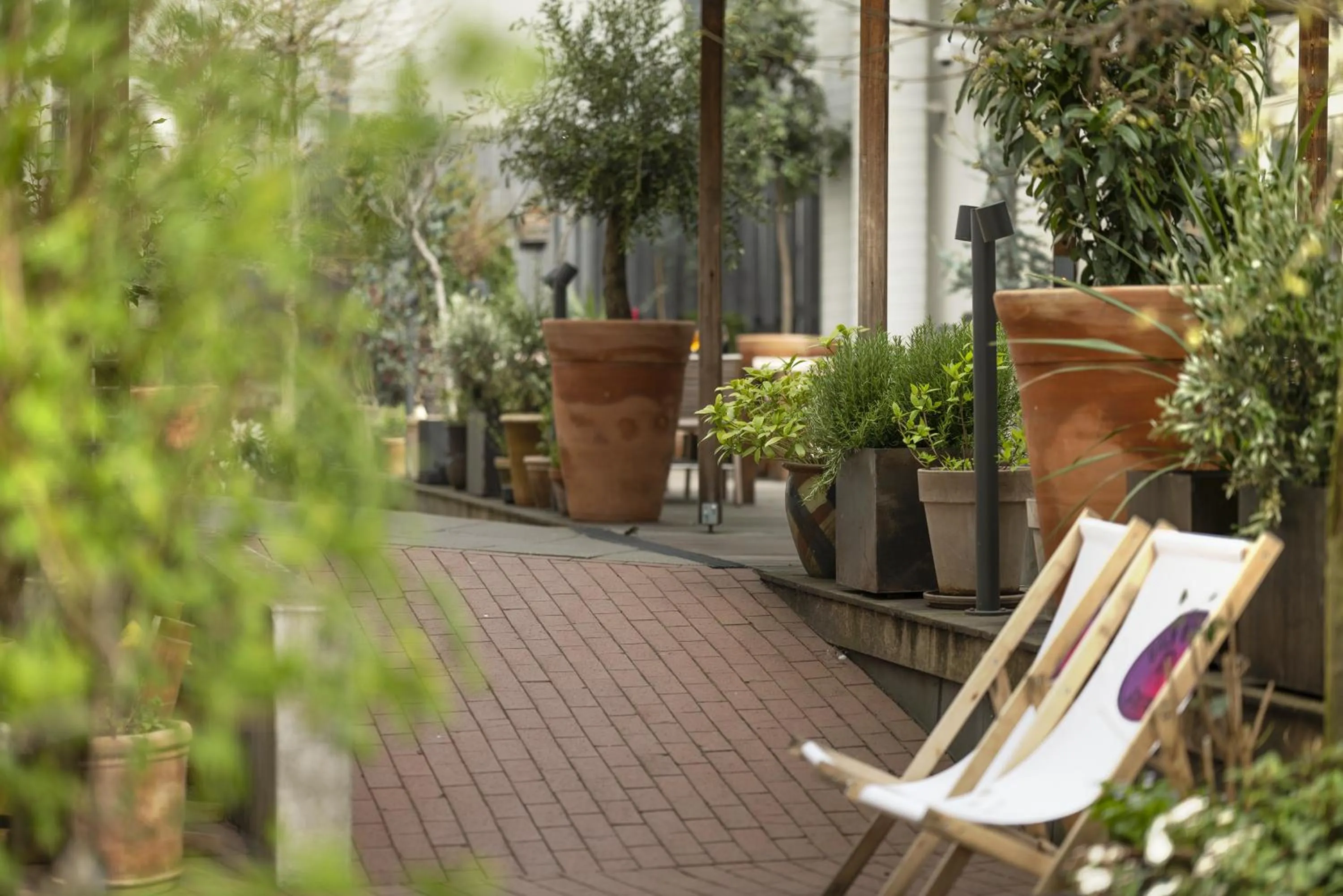 Garden in Hotel Mayfair