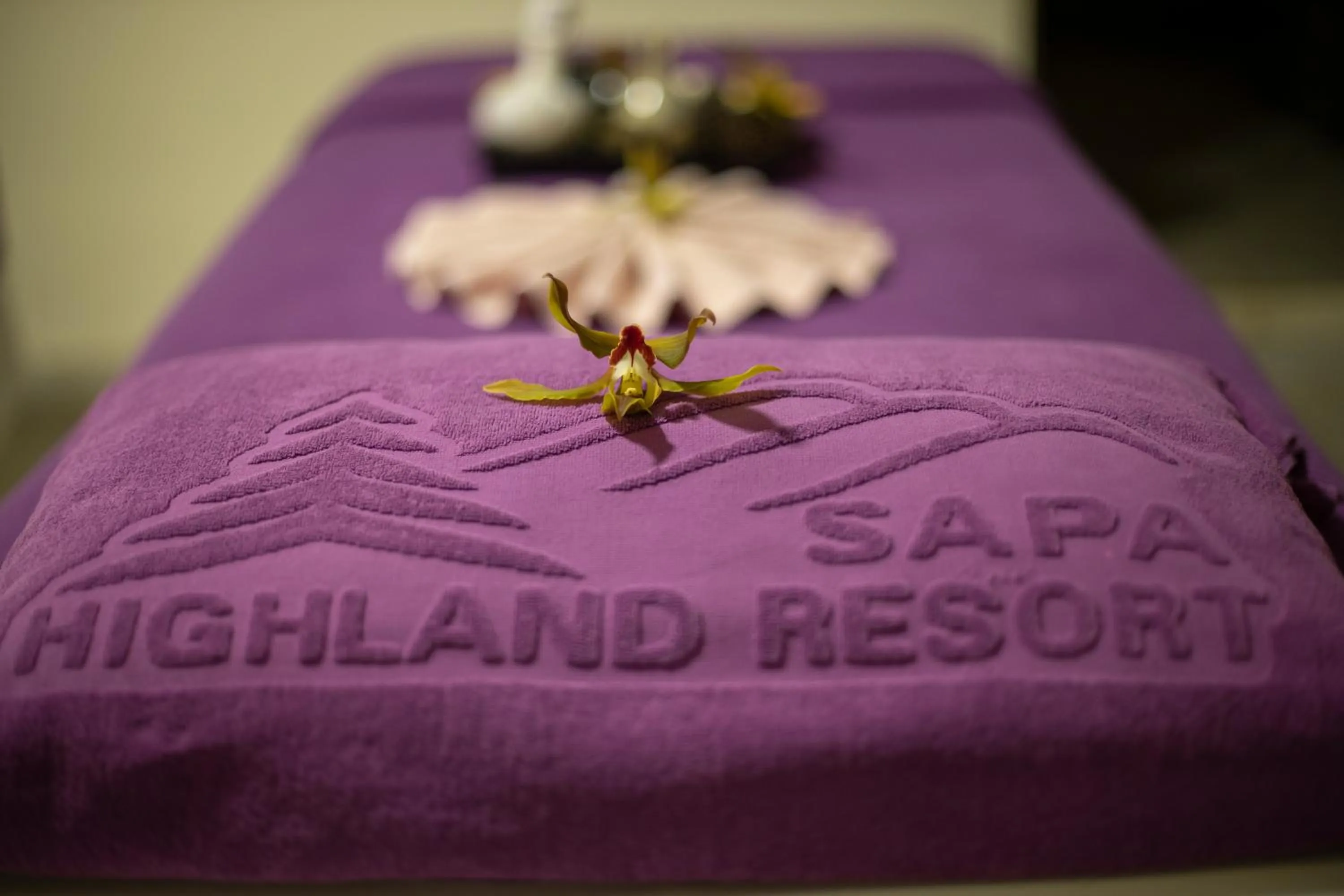 Spa and wellness centre/facilities in Sapa Highland Resort & Spa