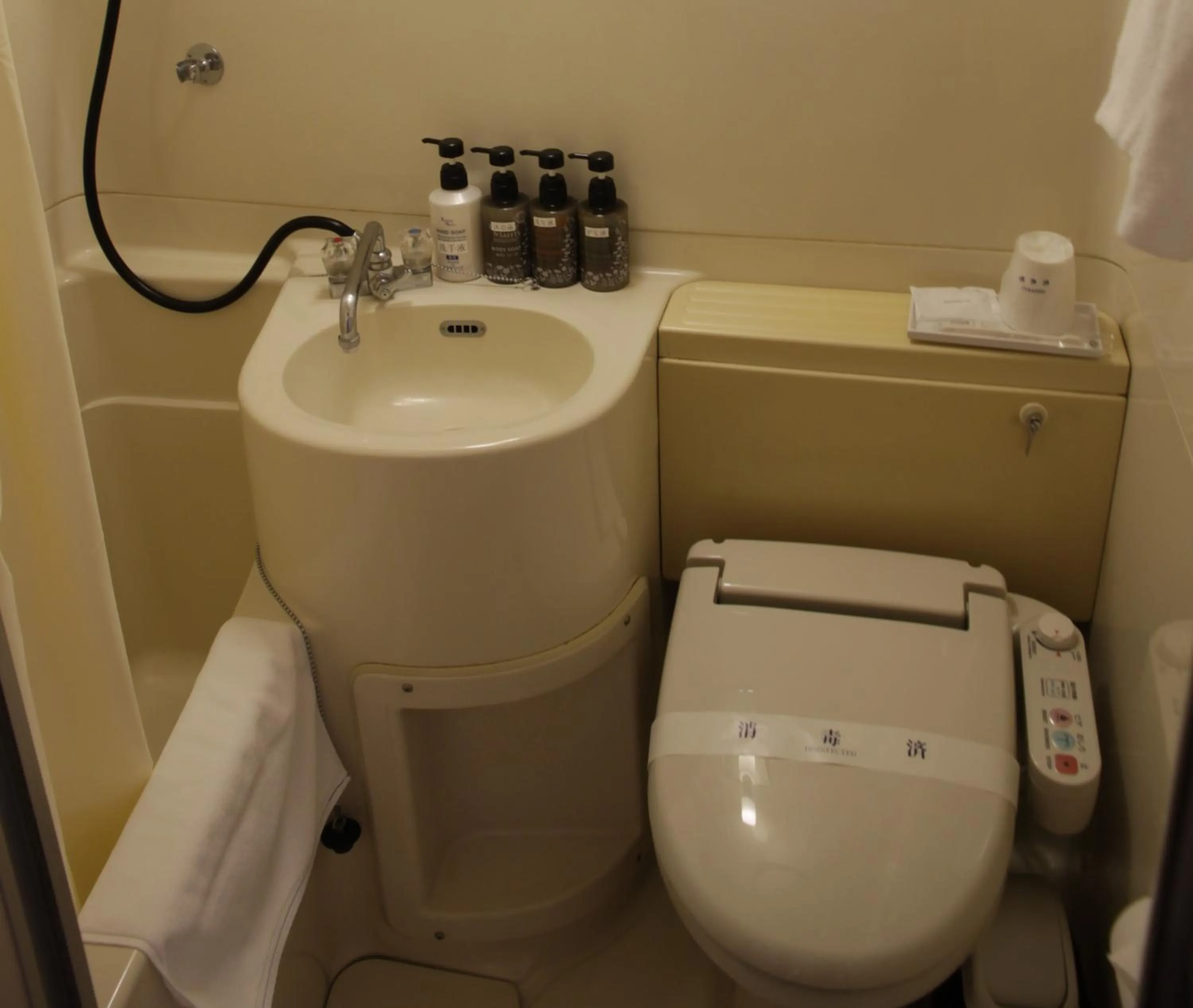 Toilet in Toyokawa Grand Hotel
