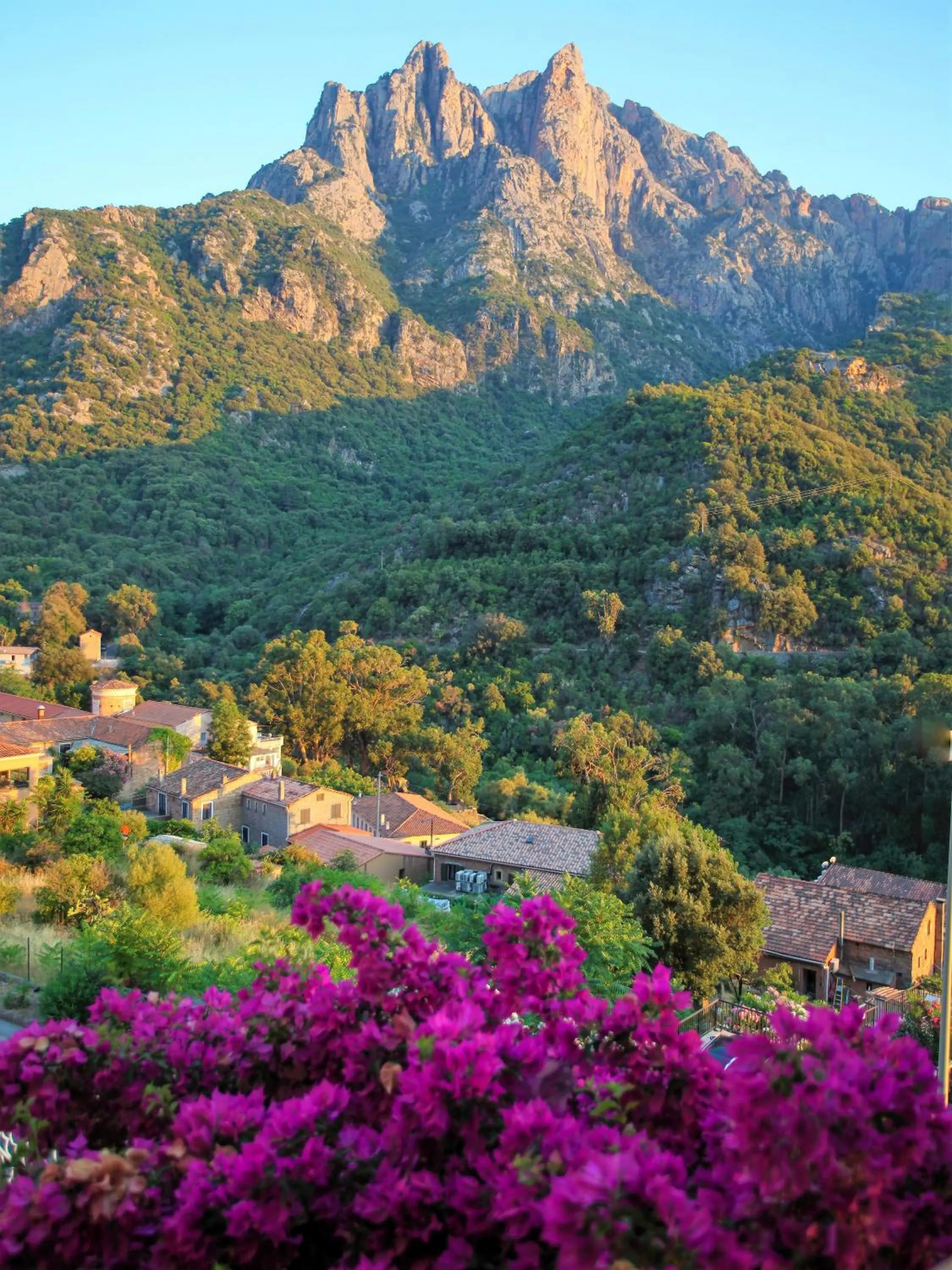 Mountain view in Capo D'orto - Porto - Corse