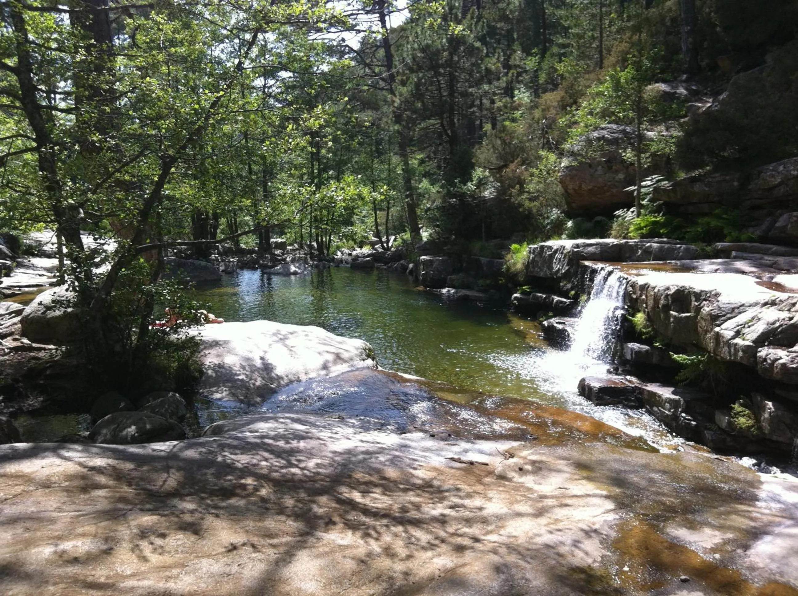 Area and facilities in Capo D'orto - Porto - Corse