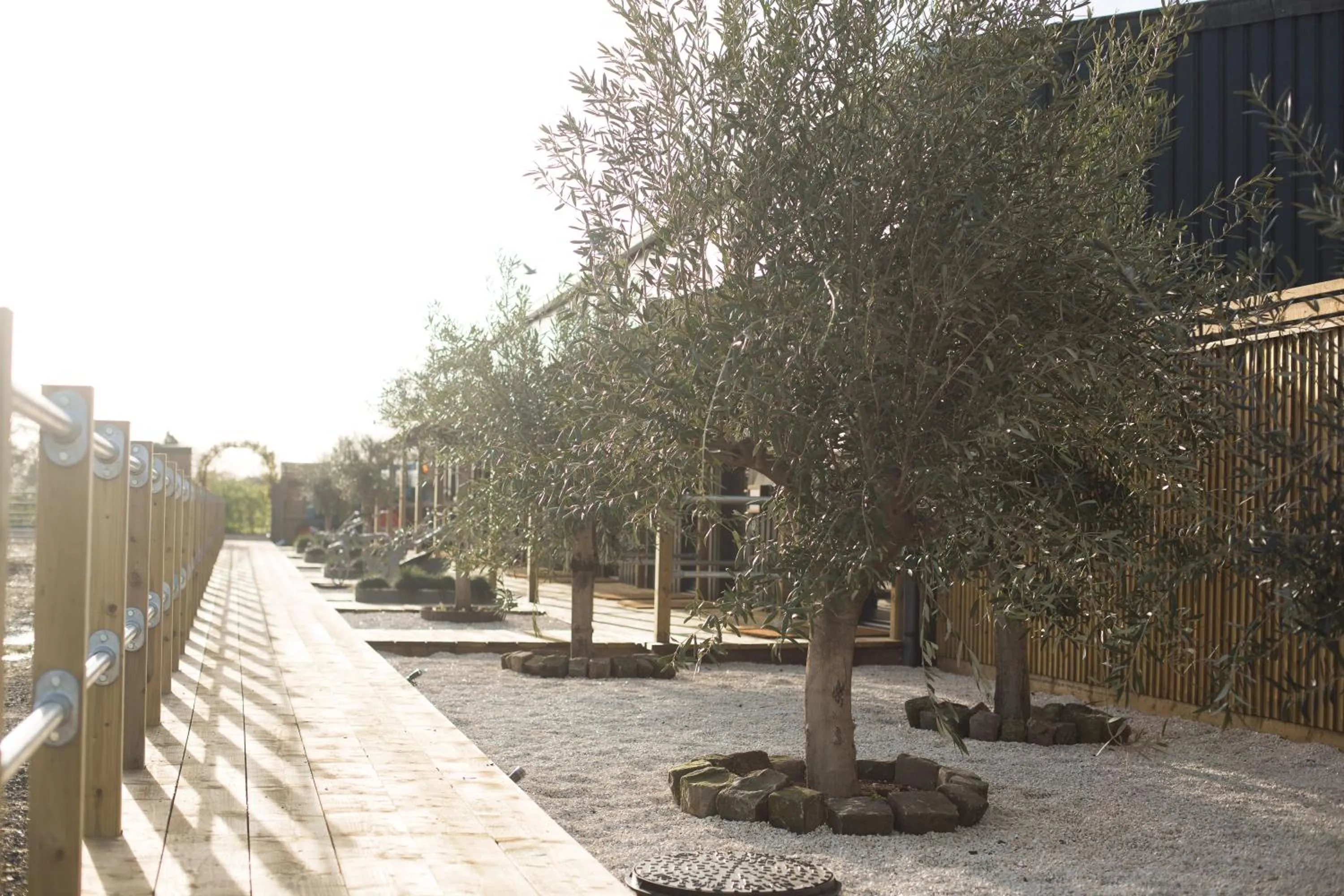 Natural landscape in Owen House Farm