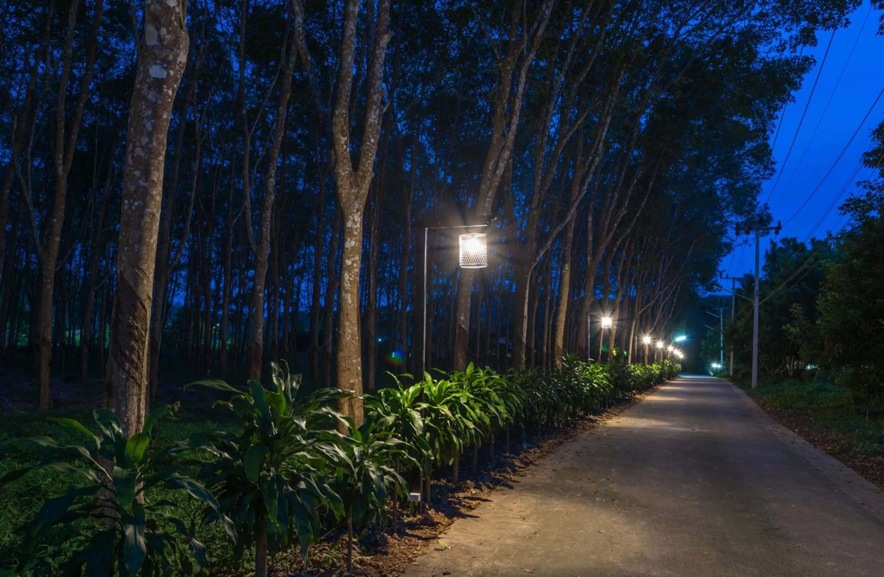 Facade/entrance in Krabi Inn Resort