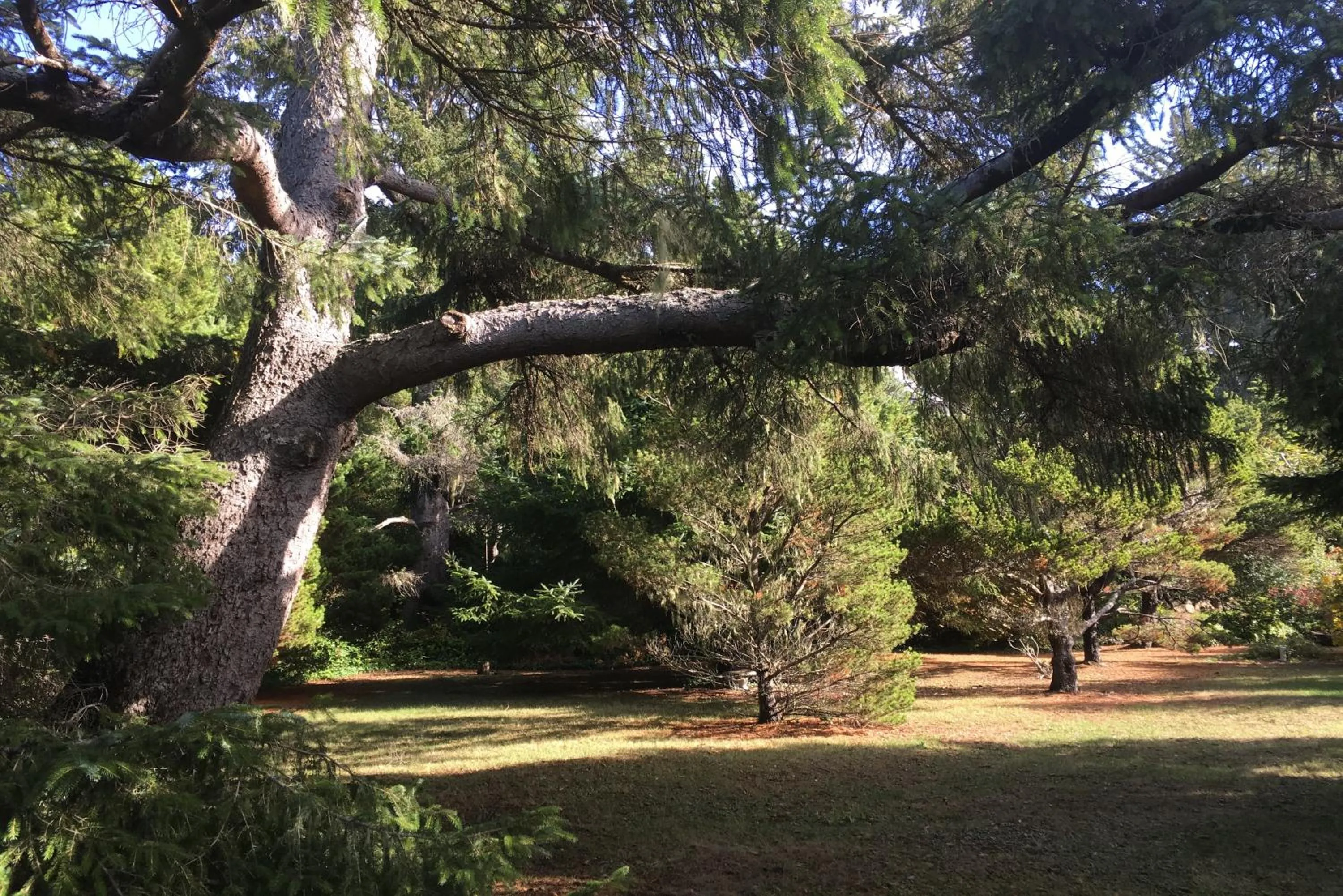 Hidden Luxury Beachfront Estate