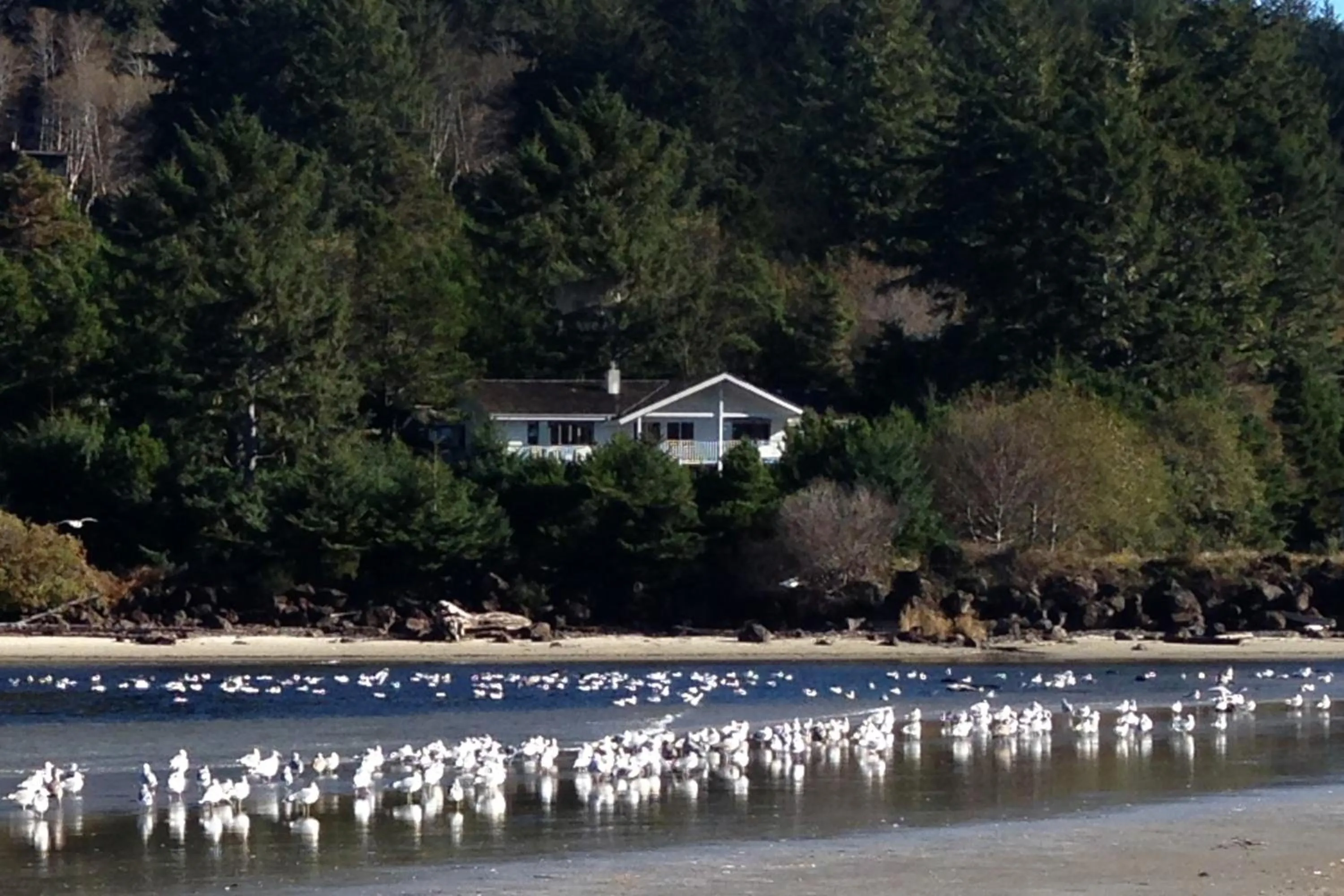 Hidden Luxury Beachfront Estate