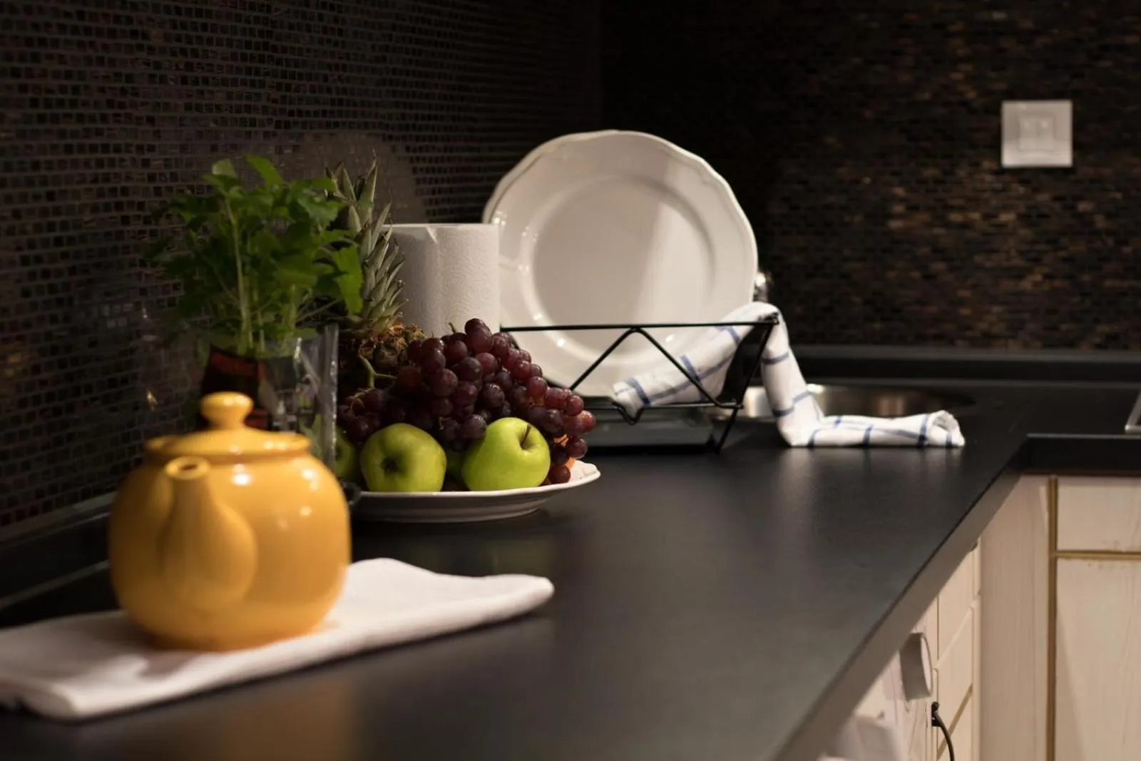 kitchen in Residence Vaclavska