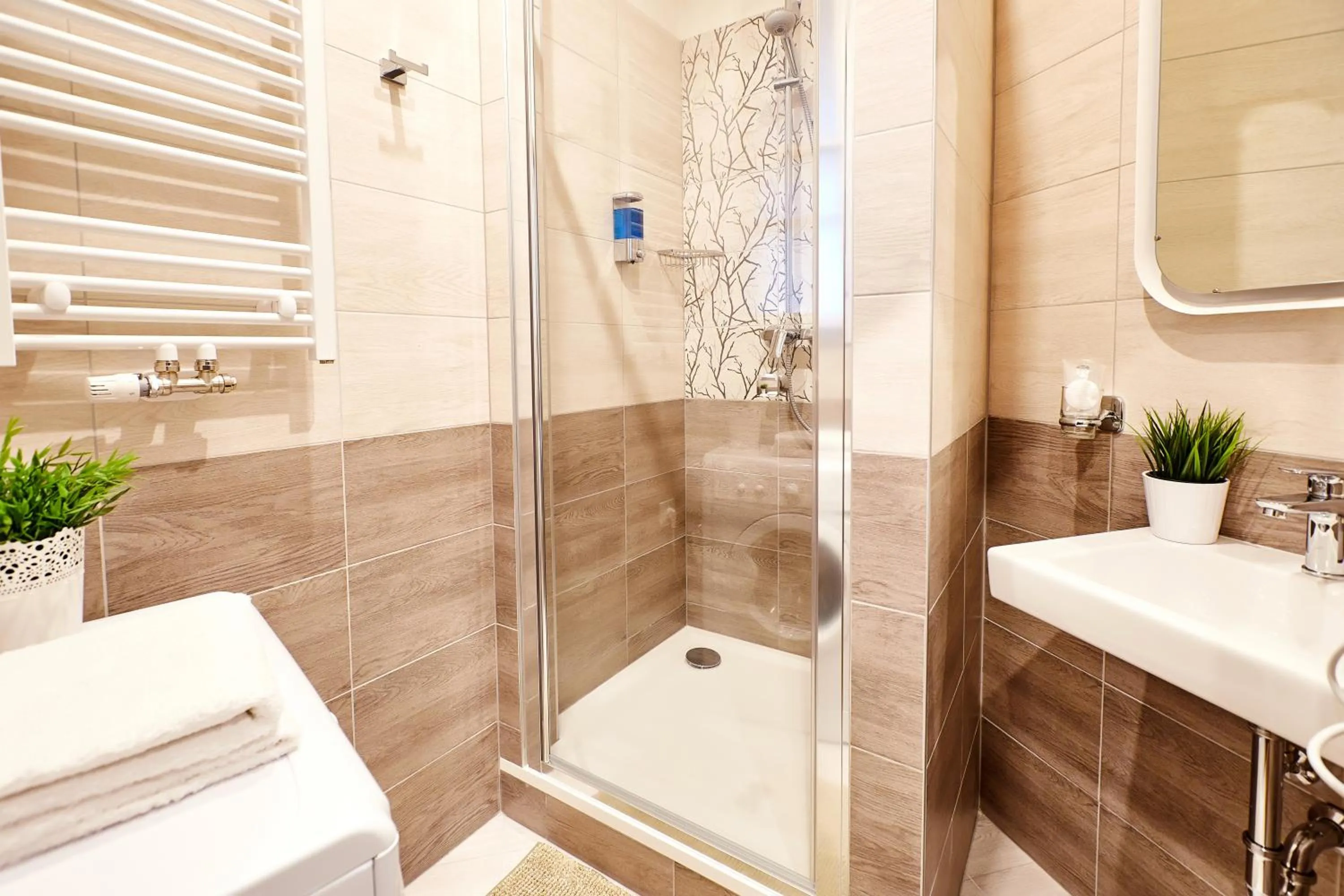 Shower in Residence Vaclavska