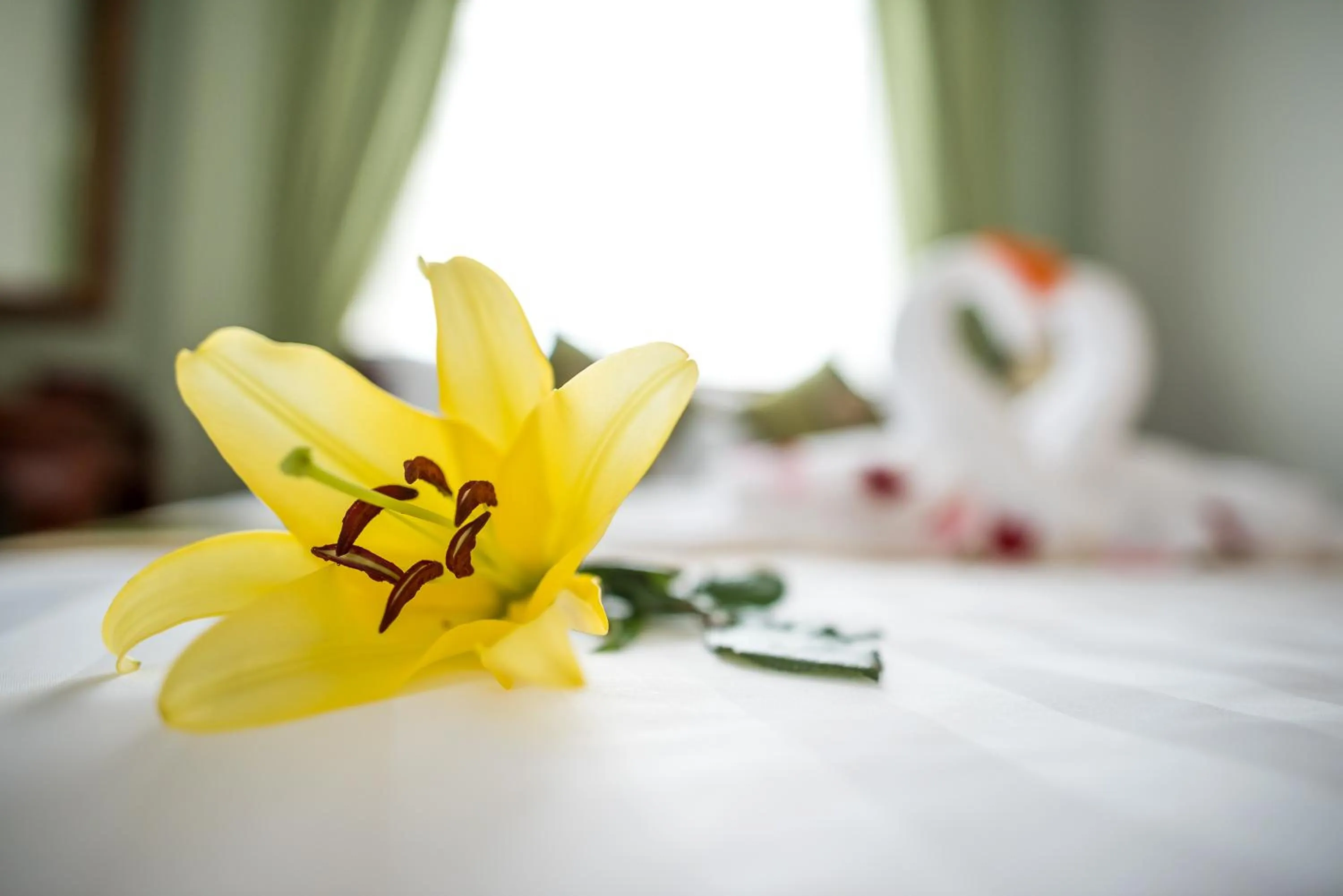 Decorative detail, Bed in NKS Hotel