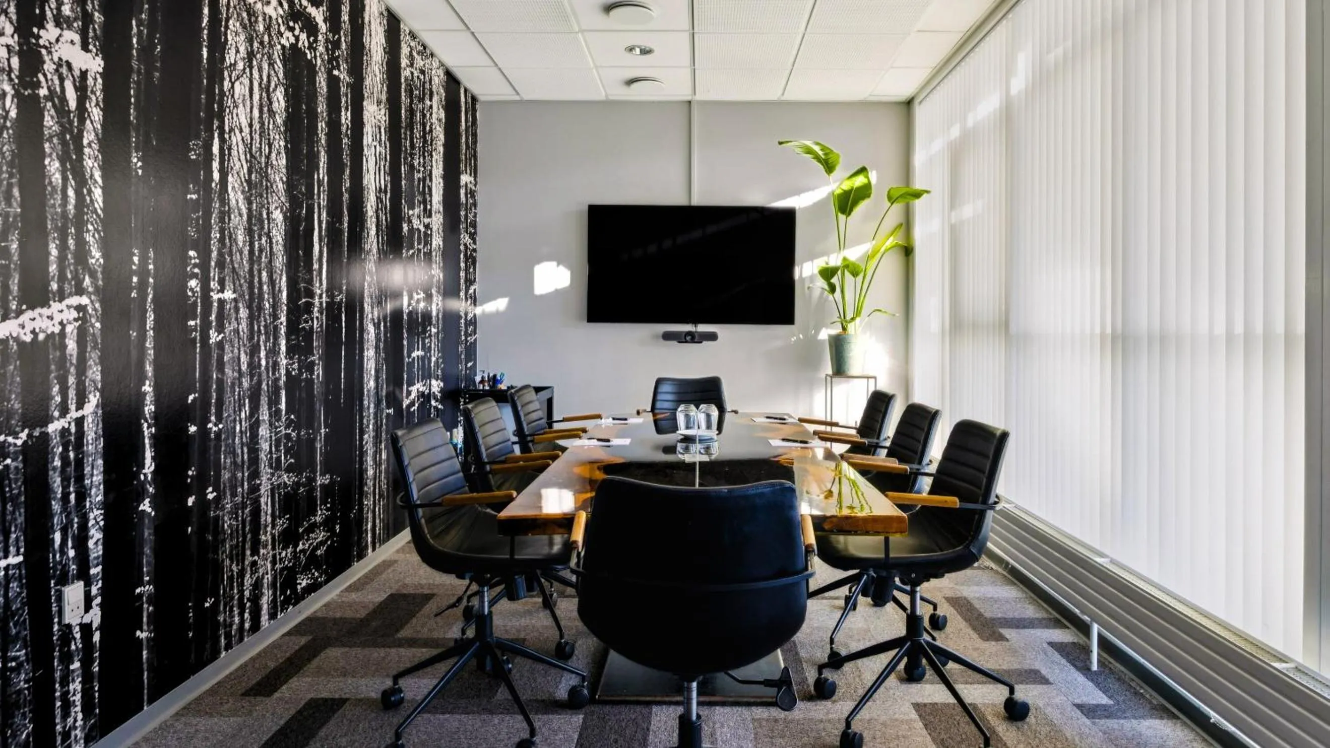 TV and multimedia in Hotel Lautrup Park