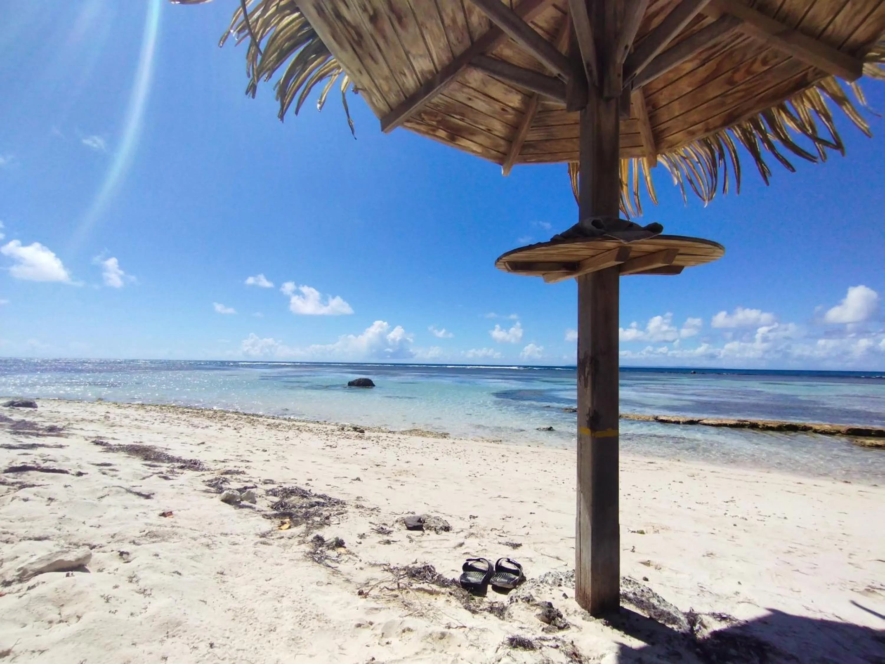 Natural landscape in Studio Ti Dô Geo - Anse des Rochers à St François - Guadeloupe