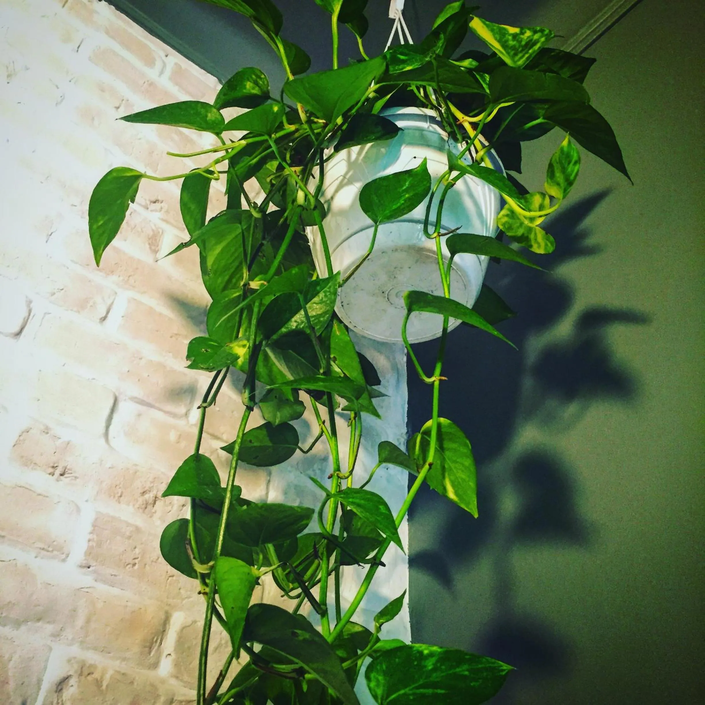Communal kitchen in Eterna Roma