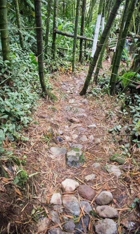 View (from property/room) in Hotel Hacienda Santa Clara