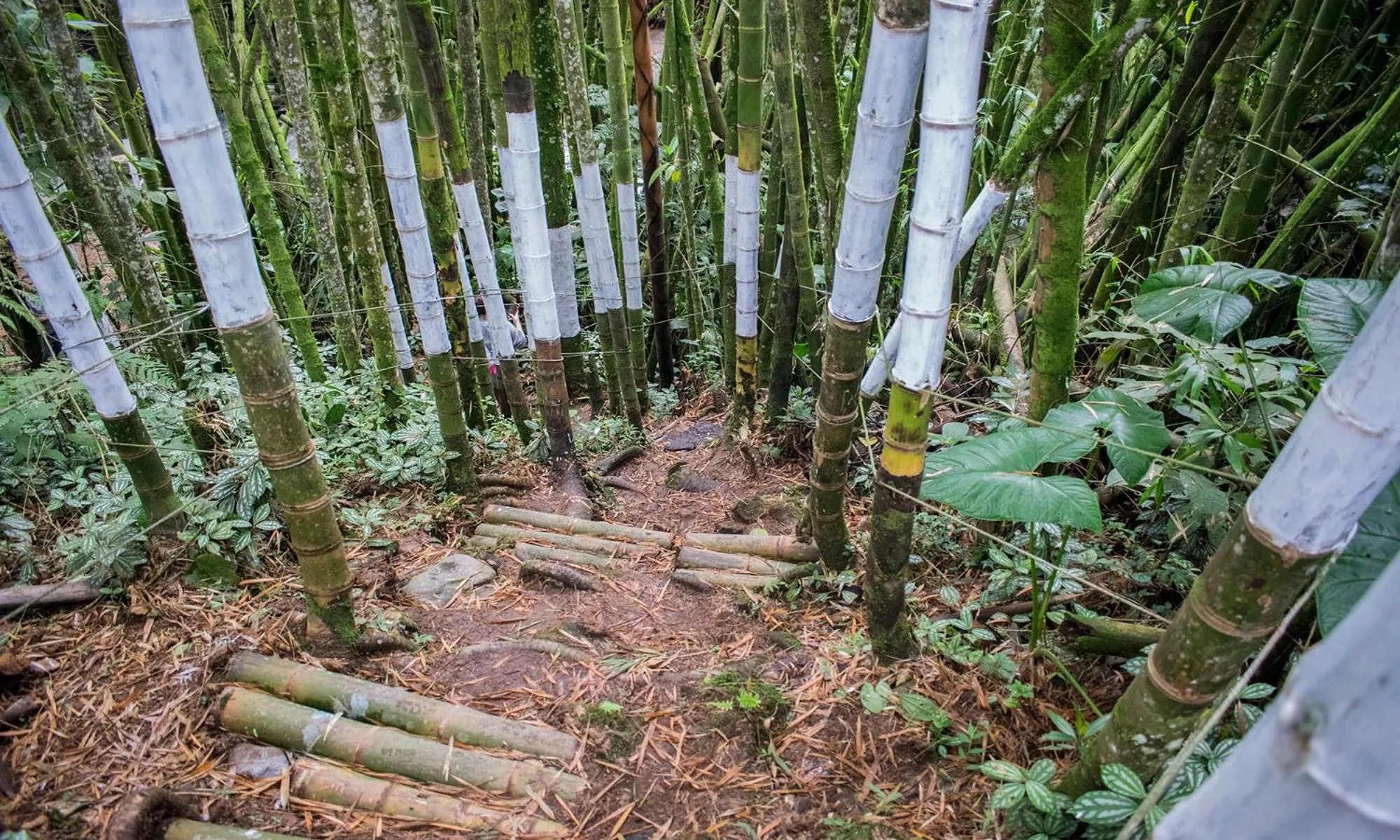 View (from property/room) in Hotel Hacienda Santa Clara