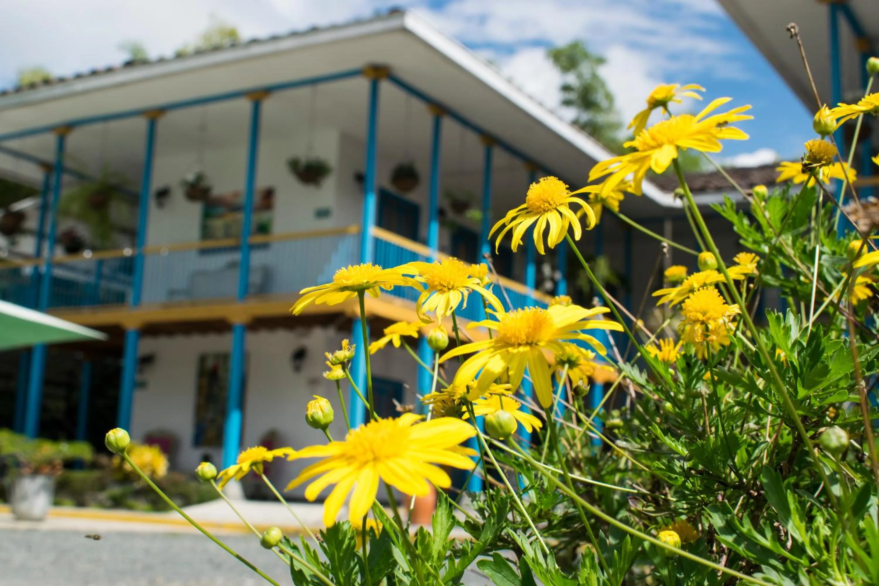 Decorative detail in Hotel Hacienda Santa Clara