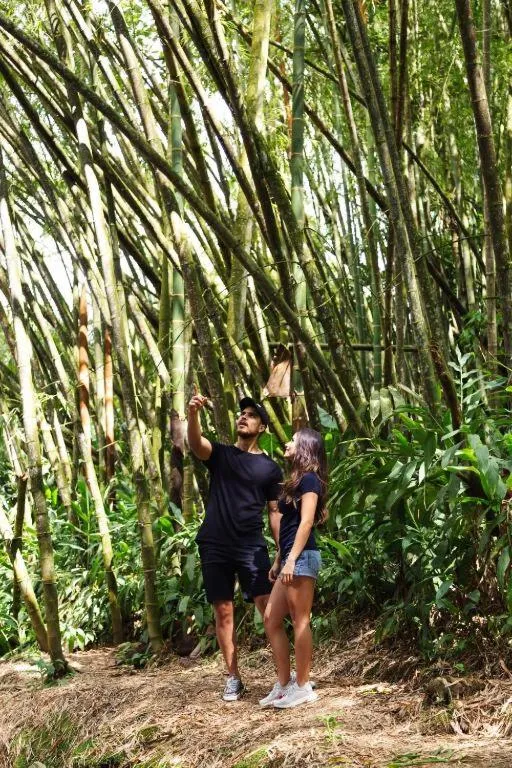 View (from property/room) in Hotel Hacienda Santa Clara