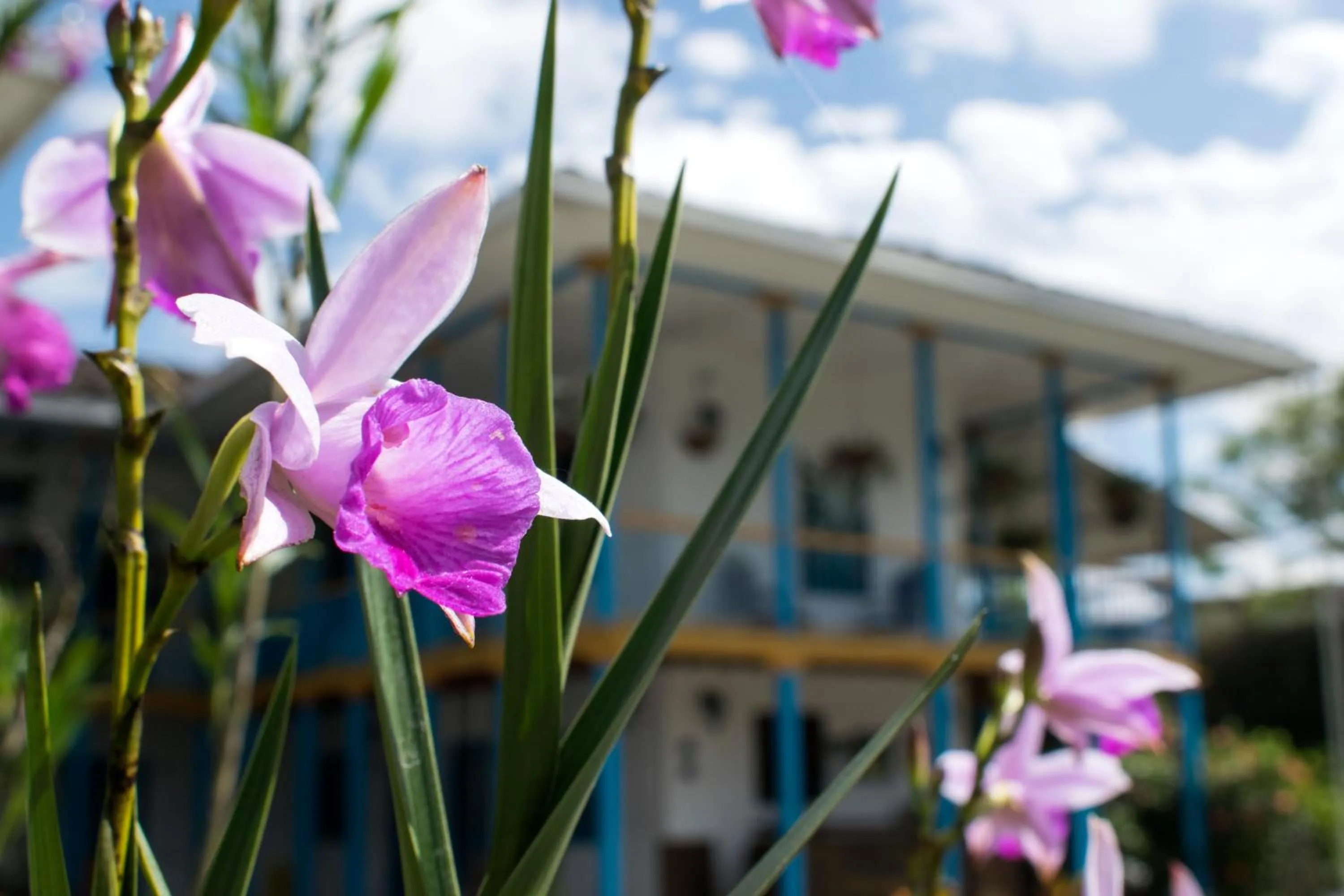 Decorative detail in Hotel Hacienda Santa Clara