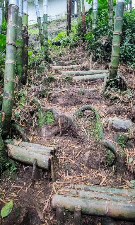 View (from property/room) in Hotel Hacienda Santa Clara