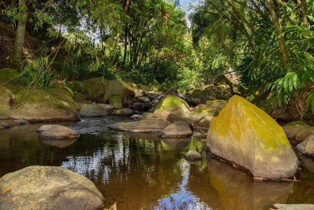 View (from property/room) in Hotel Hacienda Santa Clara