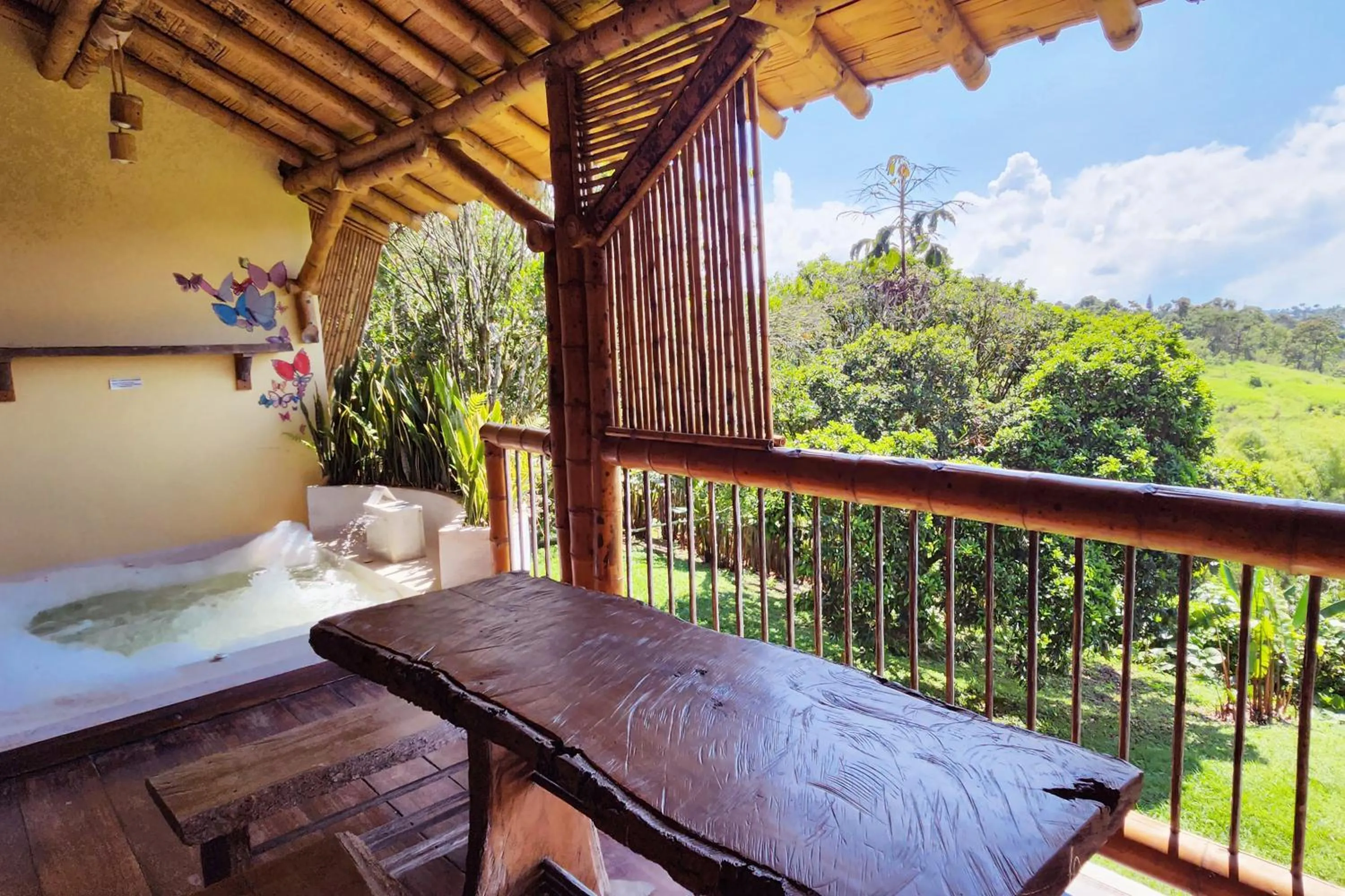 Garden view in Hotel Casa San Carlos Lodge Pereira