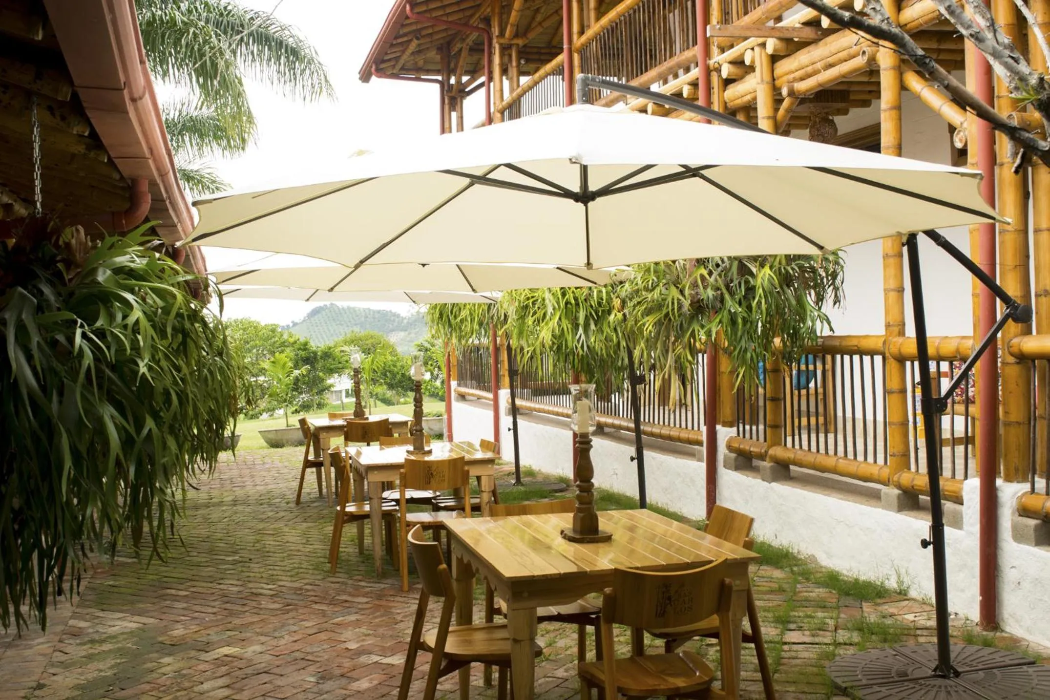 Natural landscape in Hotel Casa San Carlos Lodge Pereira