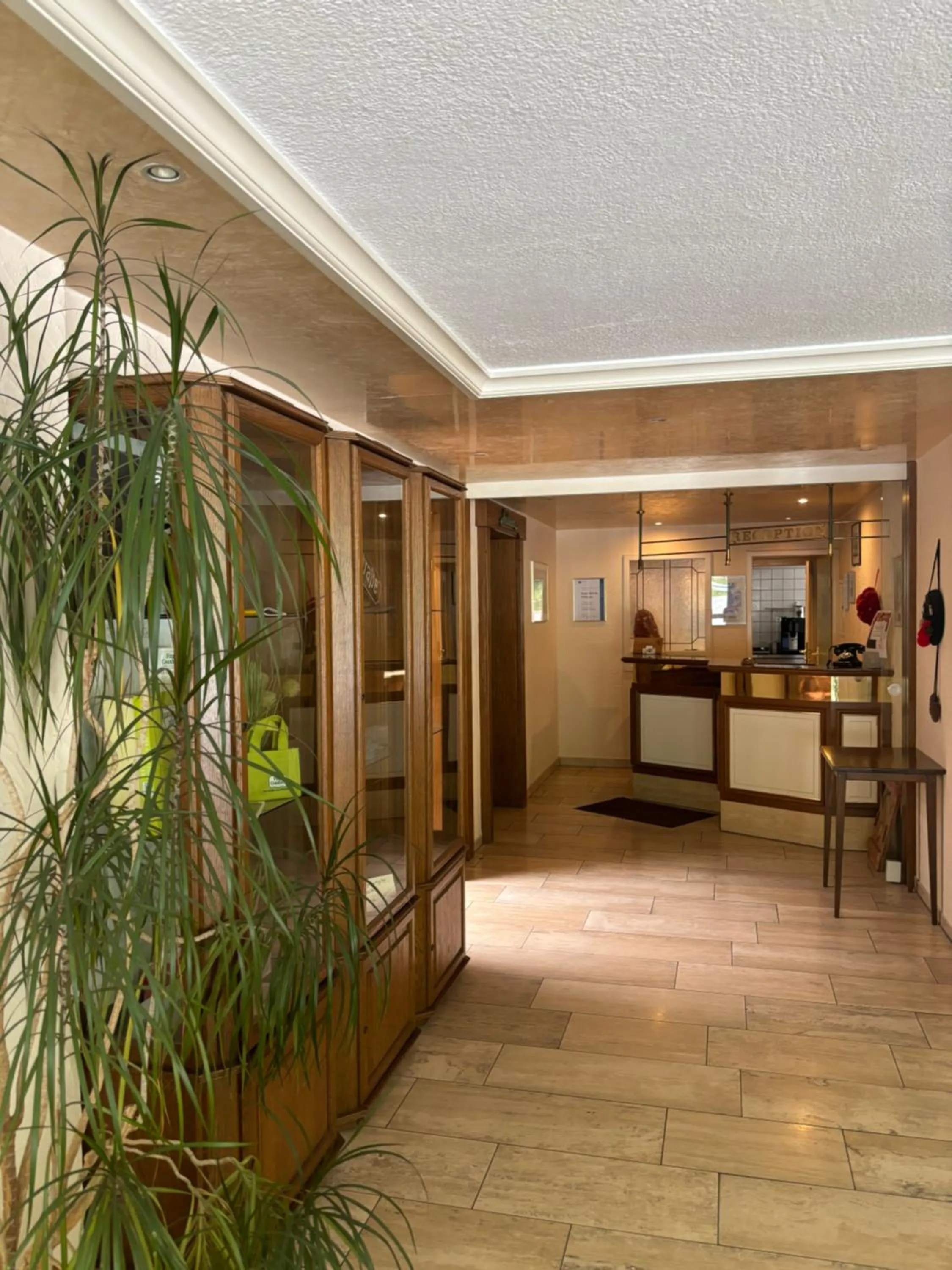 Lobby or reception in Hotel Wasserfall