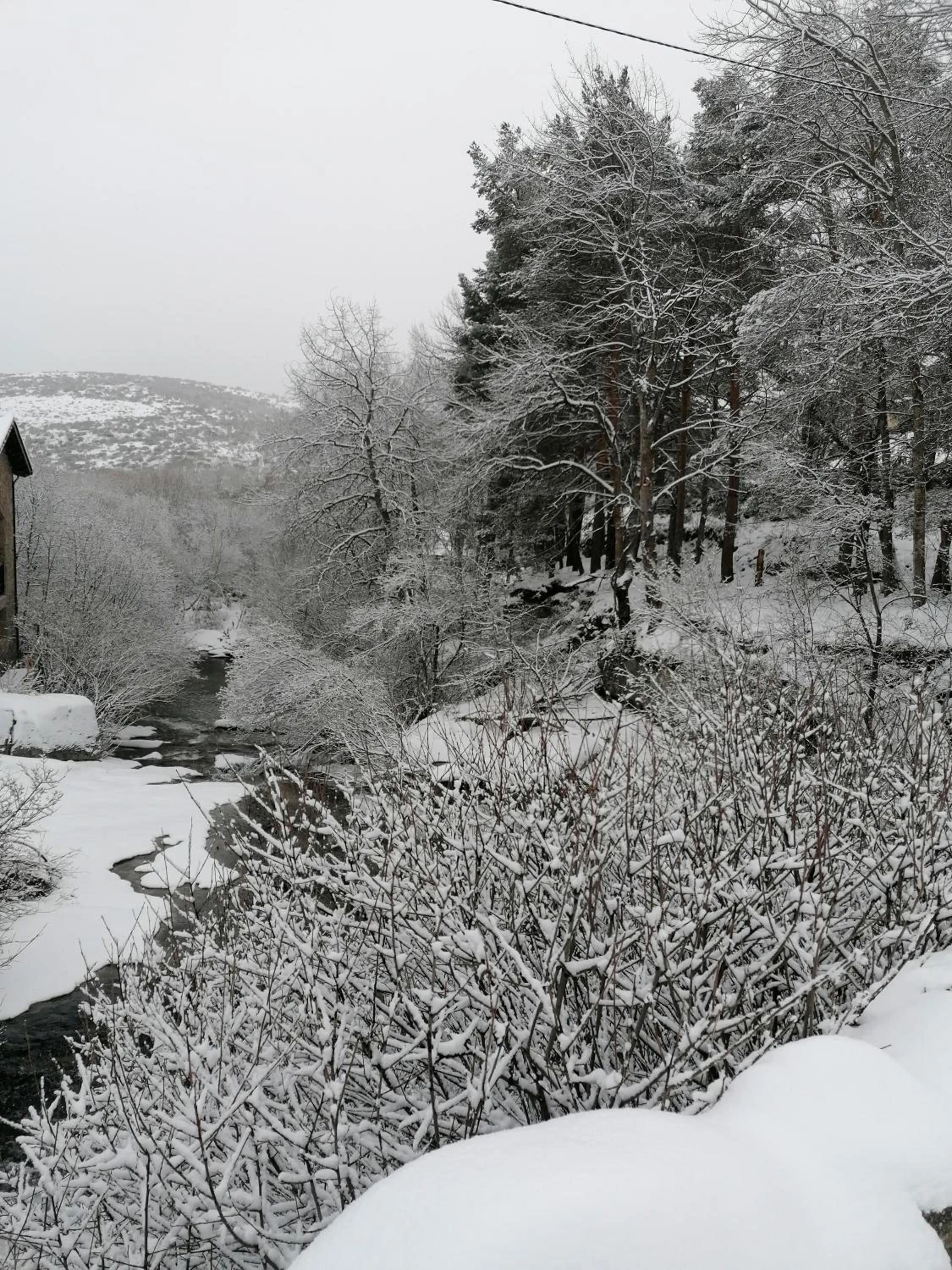 Natural landscape in El Cerrillo II