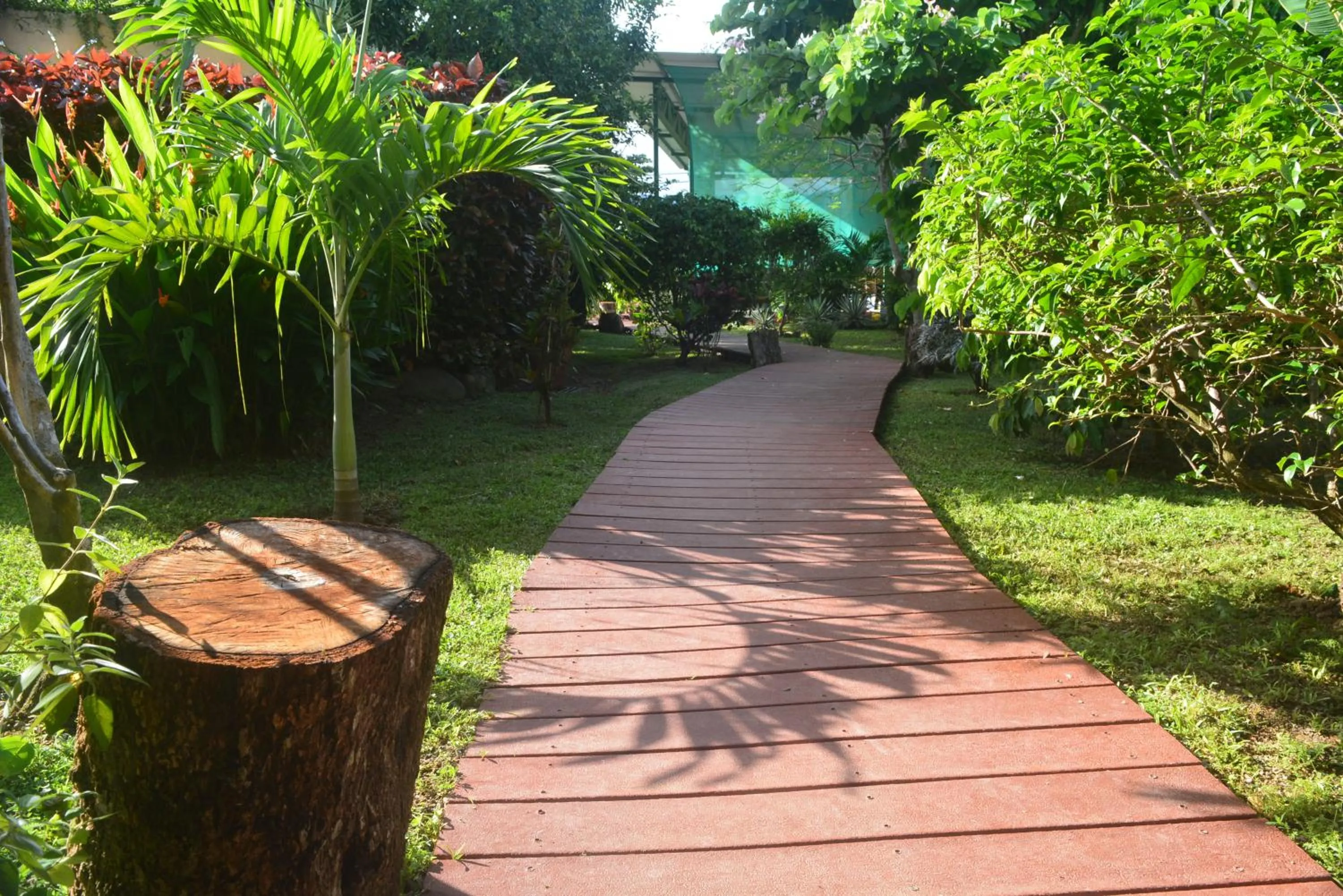 Garden in Dolce Uvita