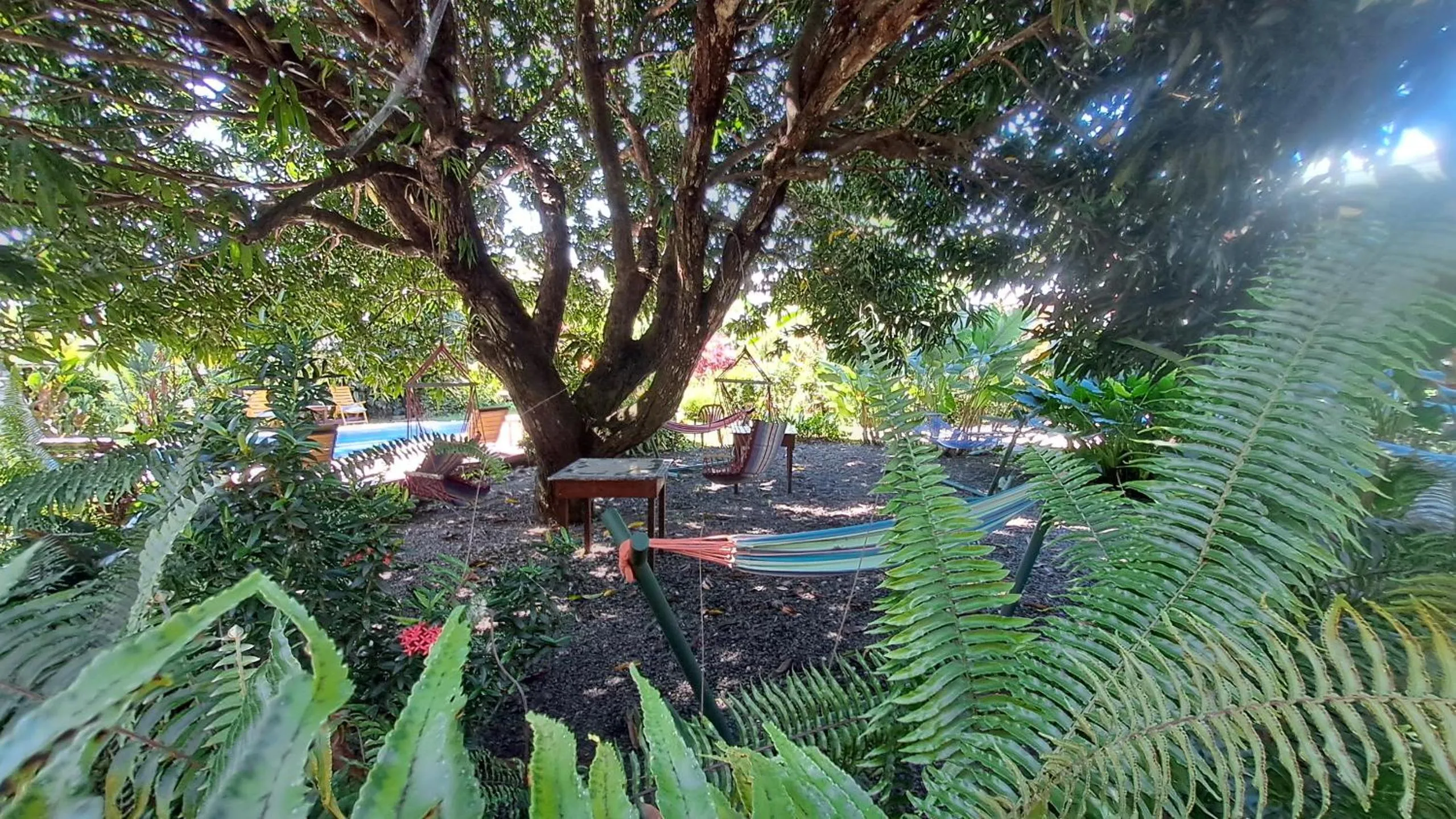 Property building in Dolce Uvita