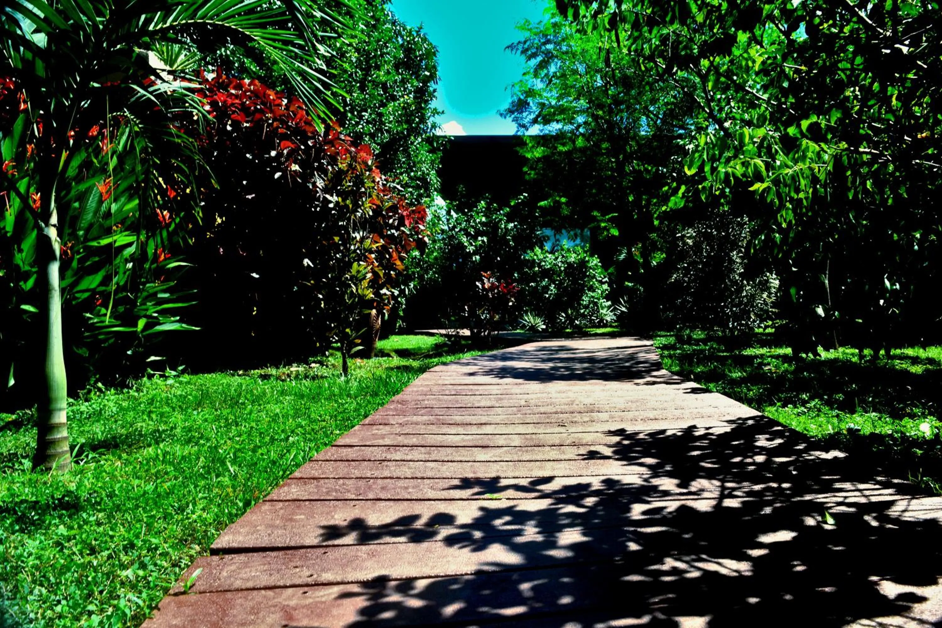 Garden in Dolce Uvita