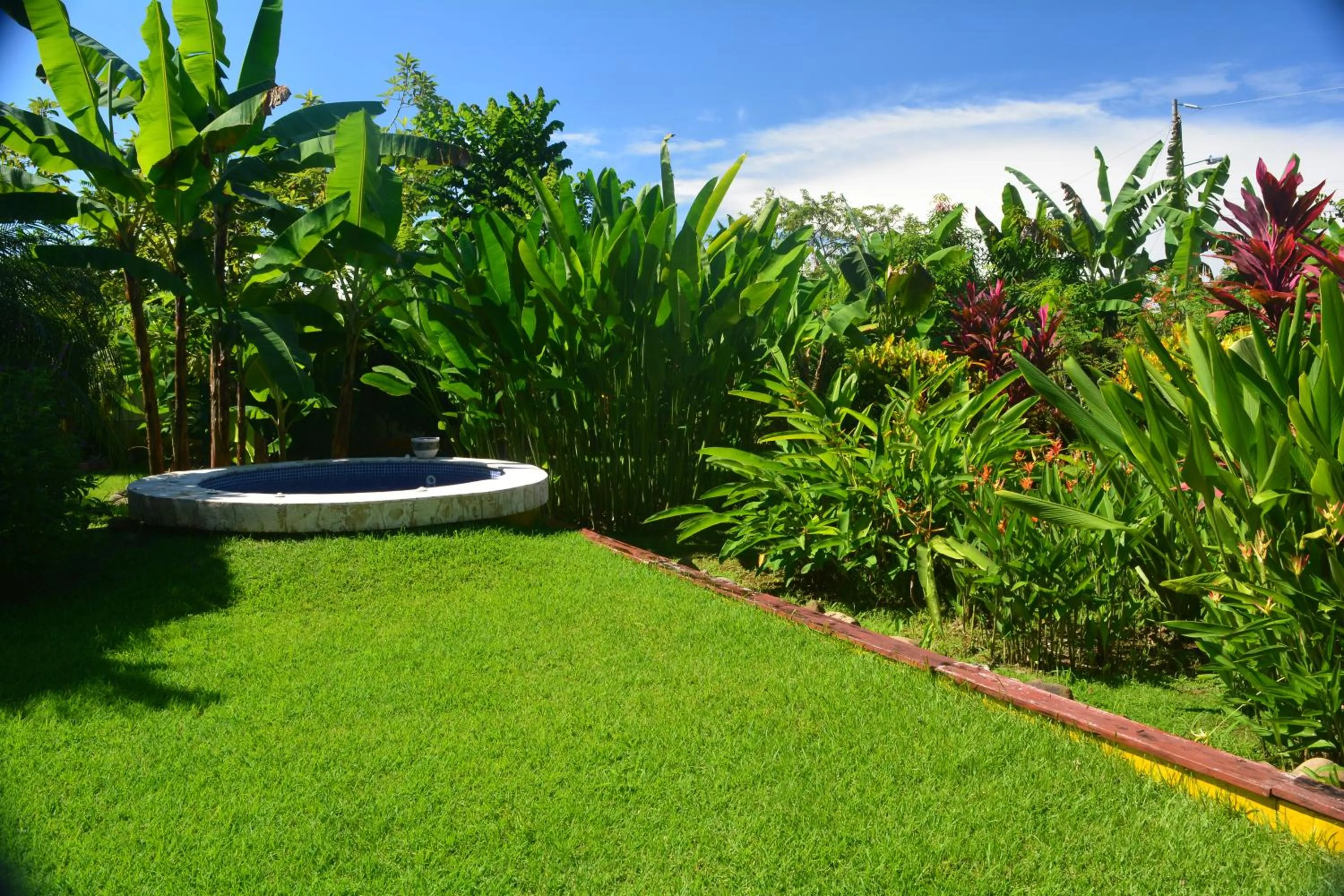 Garden in Dolce Uvita