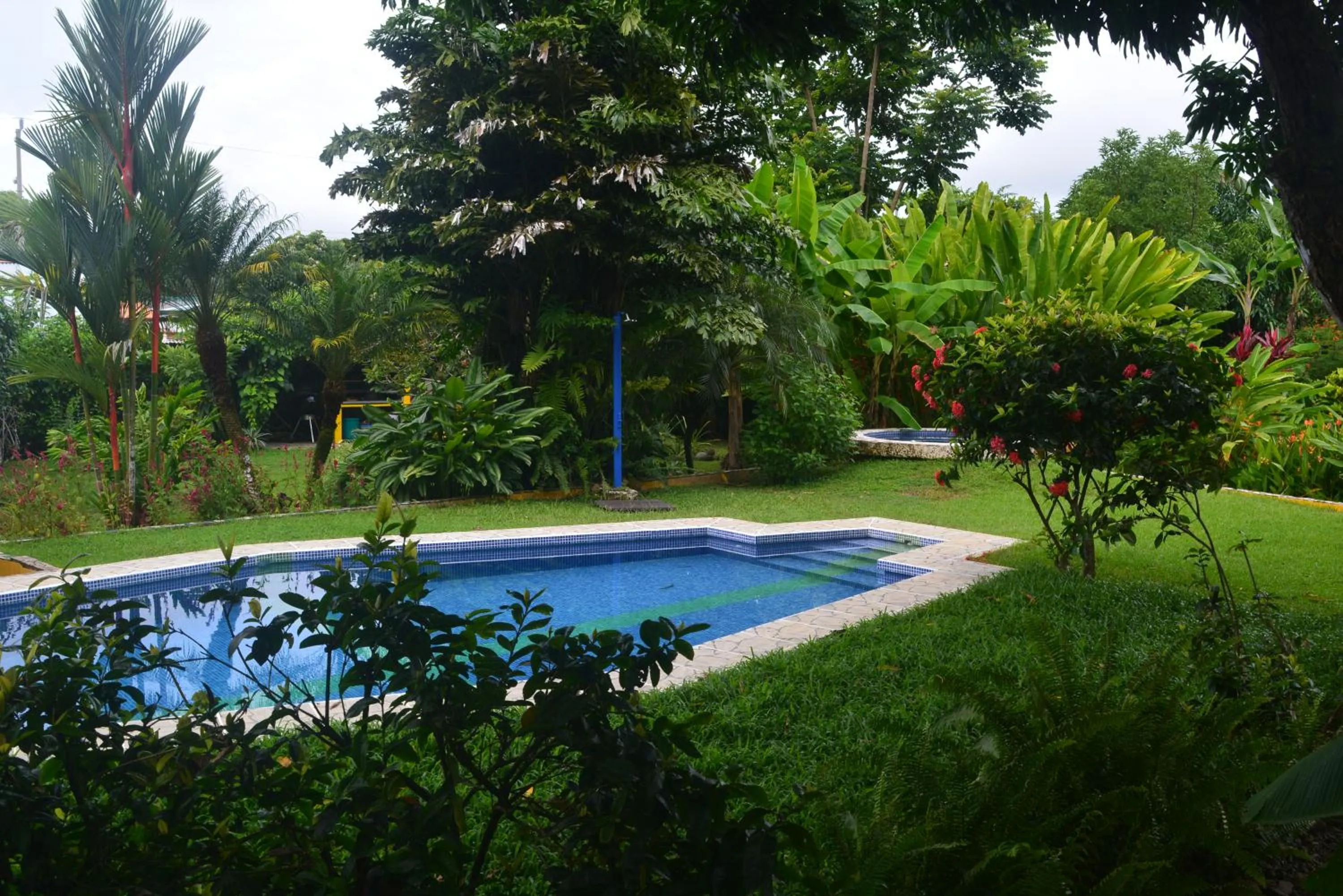 Garden in Dolce Uvita