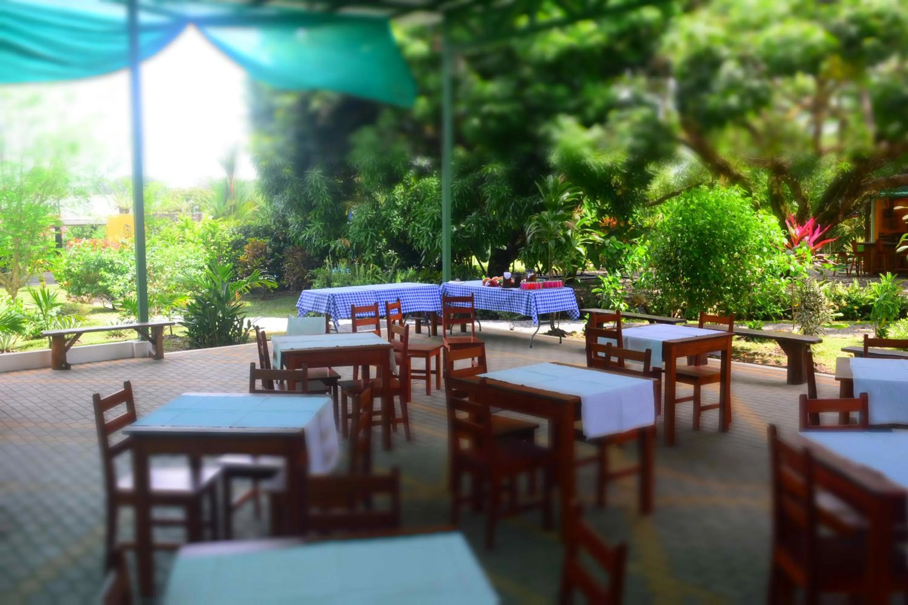 Restaurant/places to eat in Dolce Uvita