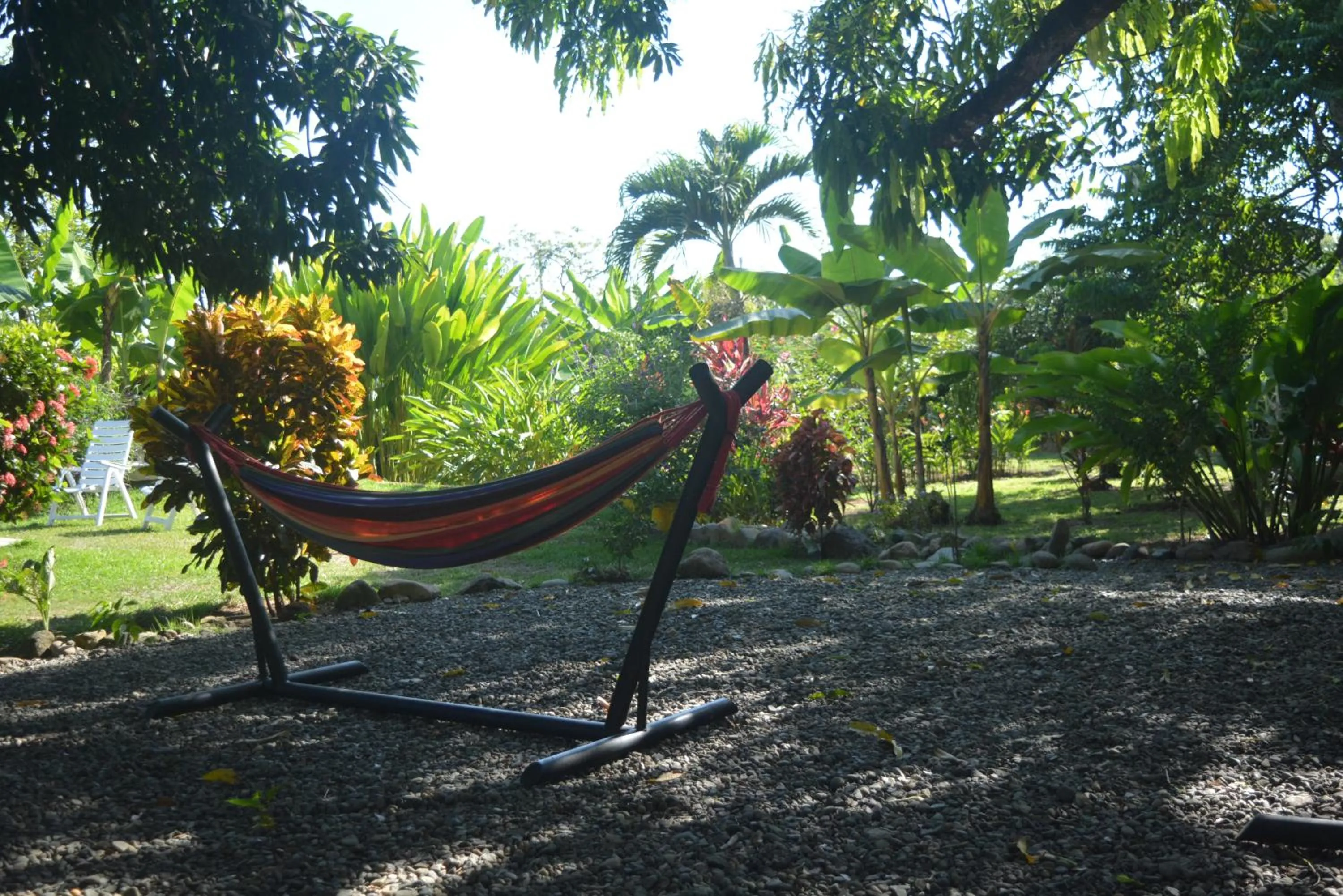 Garden in Dolce Uvita