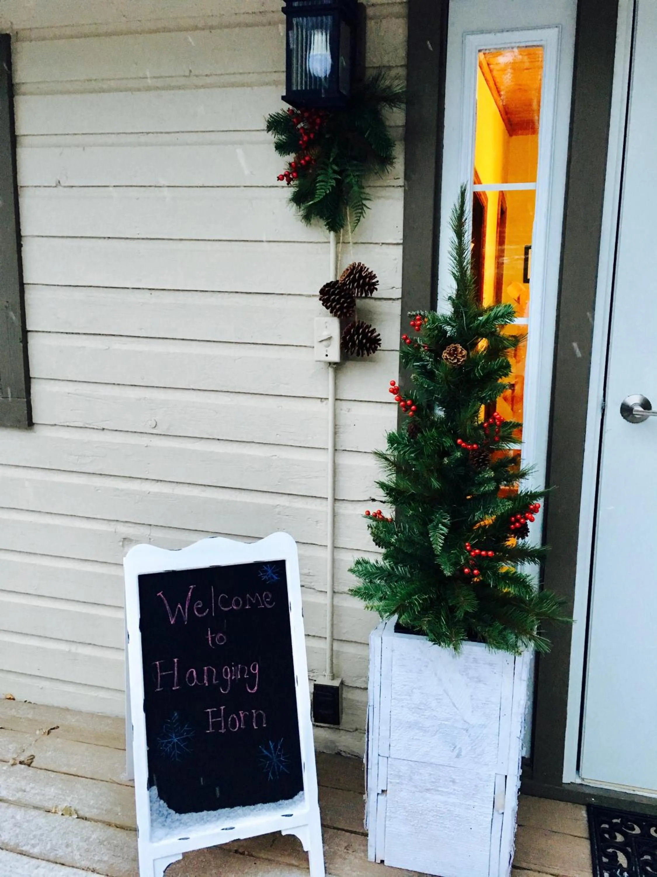 Patio in Hanging Horn Lakeside Resort