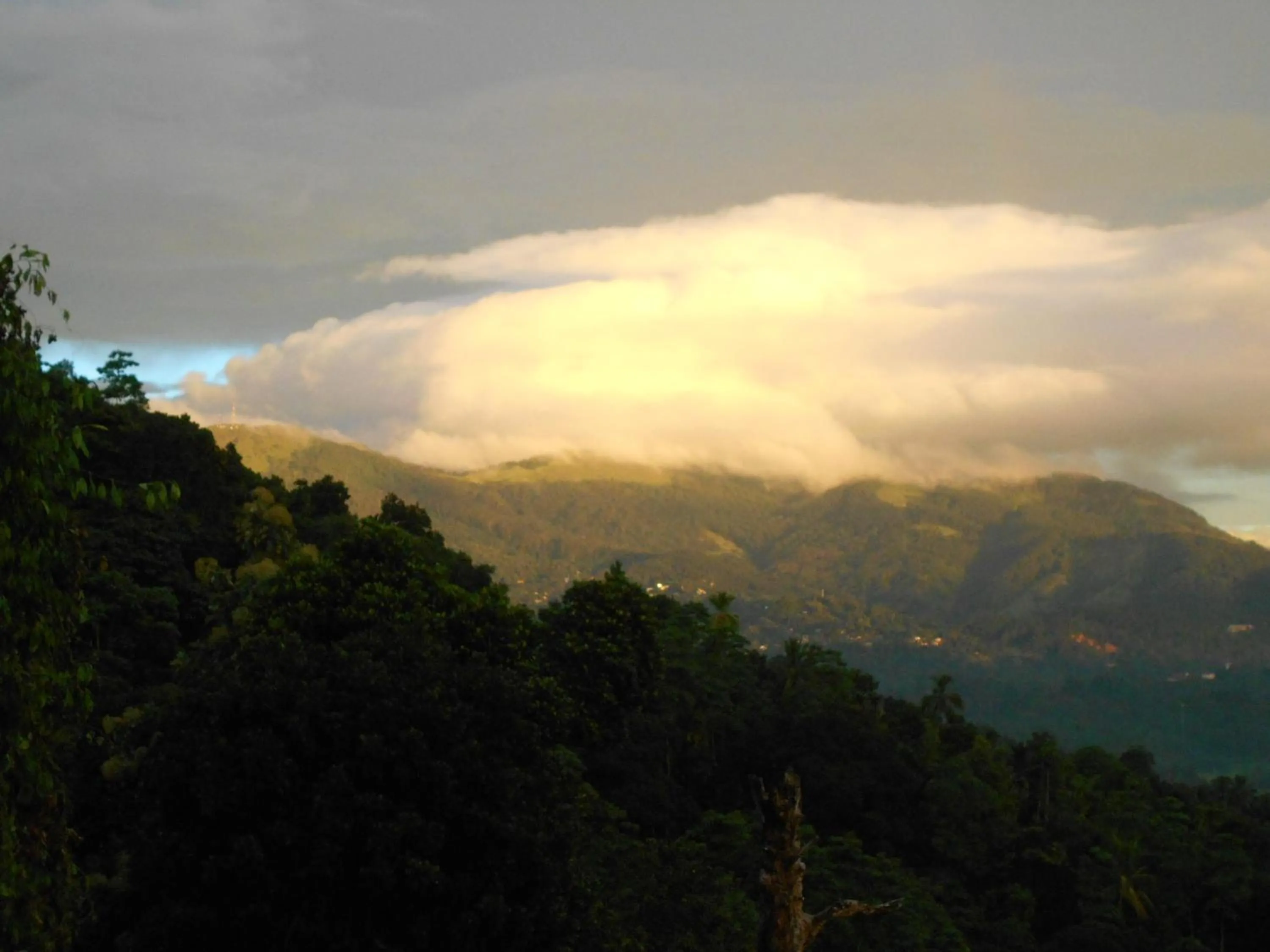 Natural landscape in The Springfields Kandy Previously Madara Residence Kandy