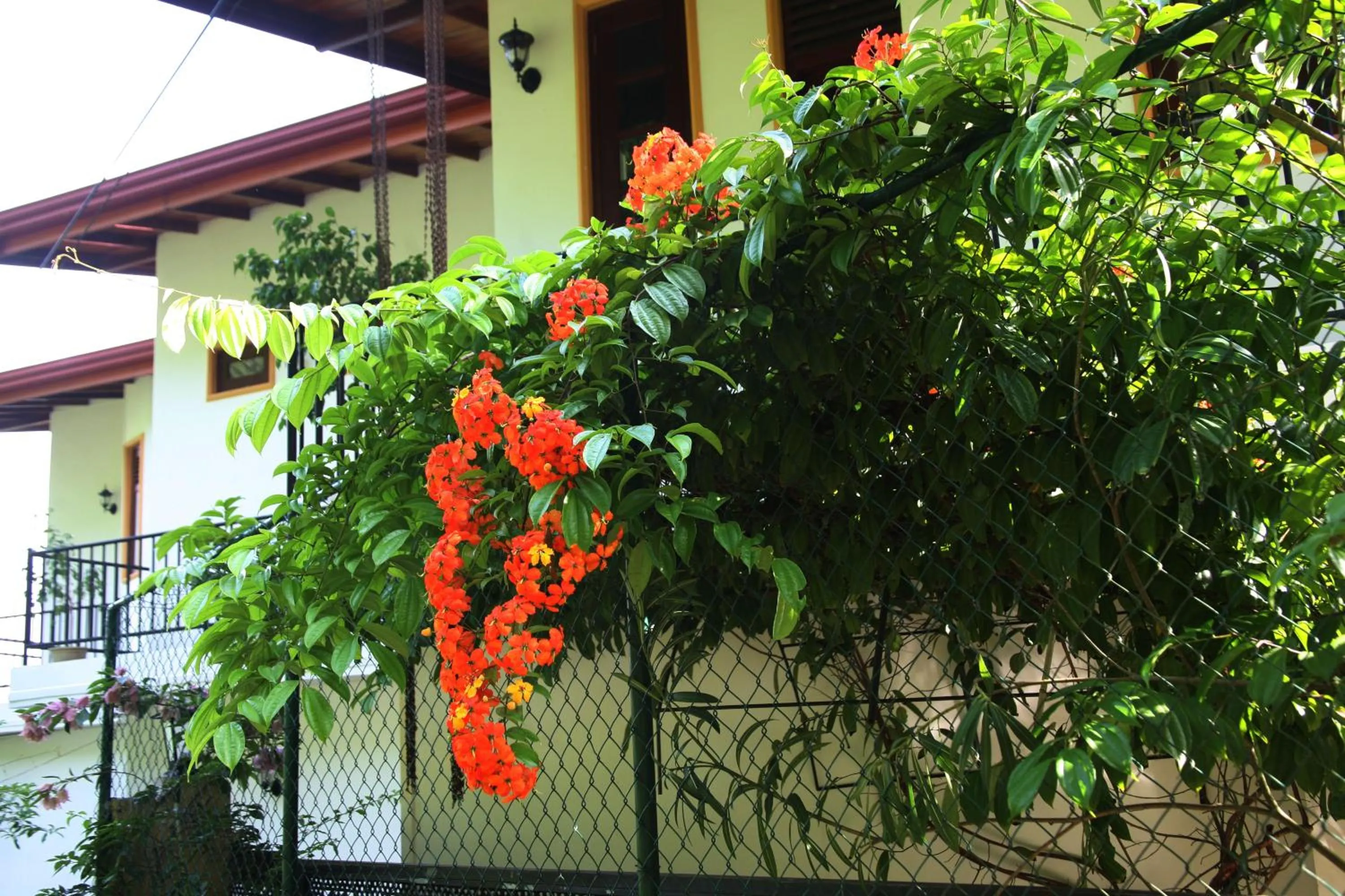 Facade/entrance in The Springfields Kandy Previously Madara Residence Kandy