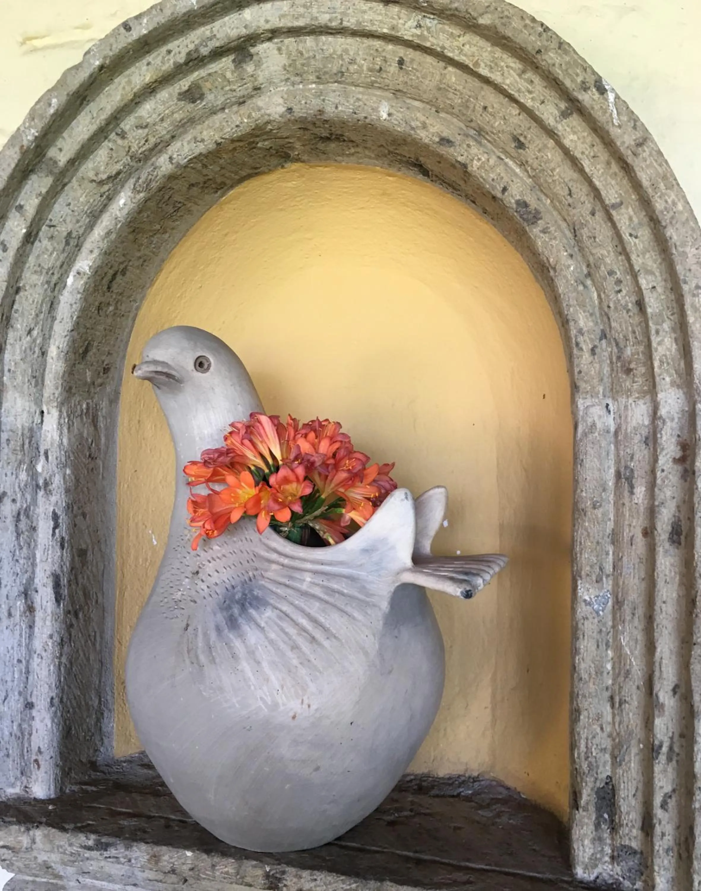 Logo/Certificate/Sign in Casa Palomas Bed and Breakfast