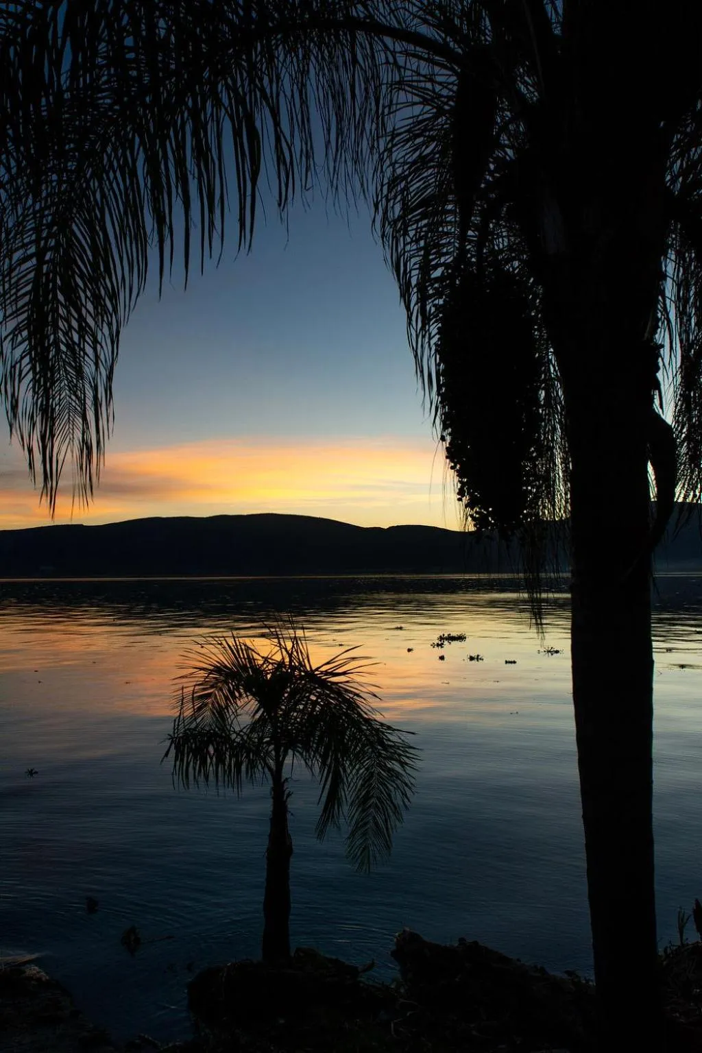 Casa Palomas Bed and Breakfast