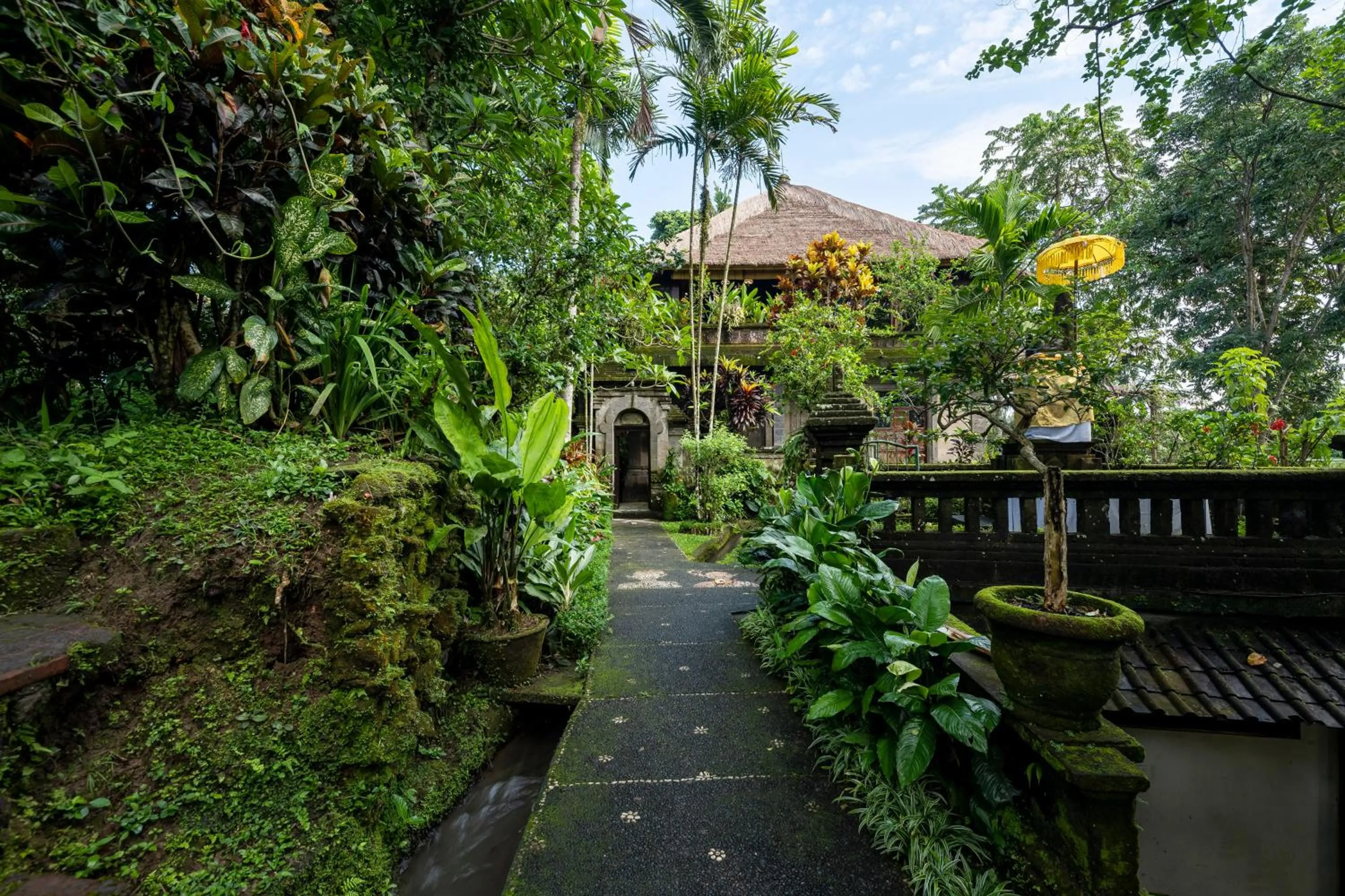 Garden view in Alam Jiwa Ubud