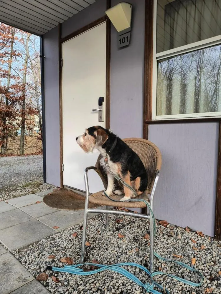 Property building in Hotel Sleep2Night