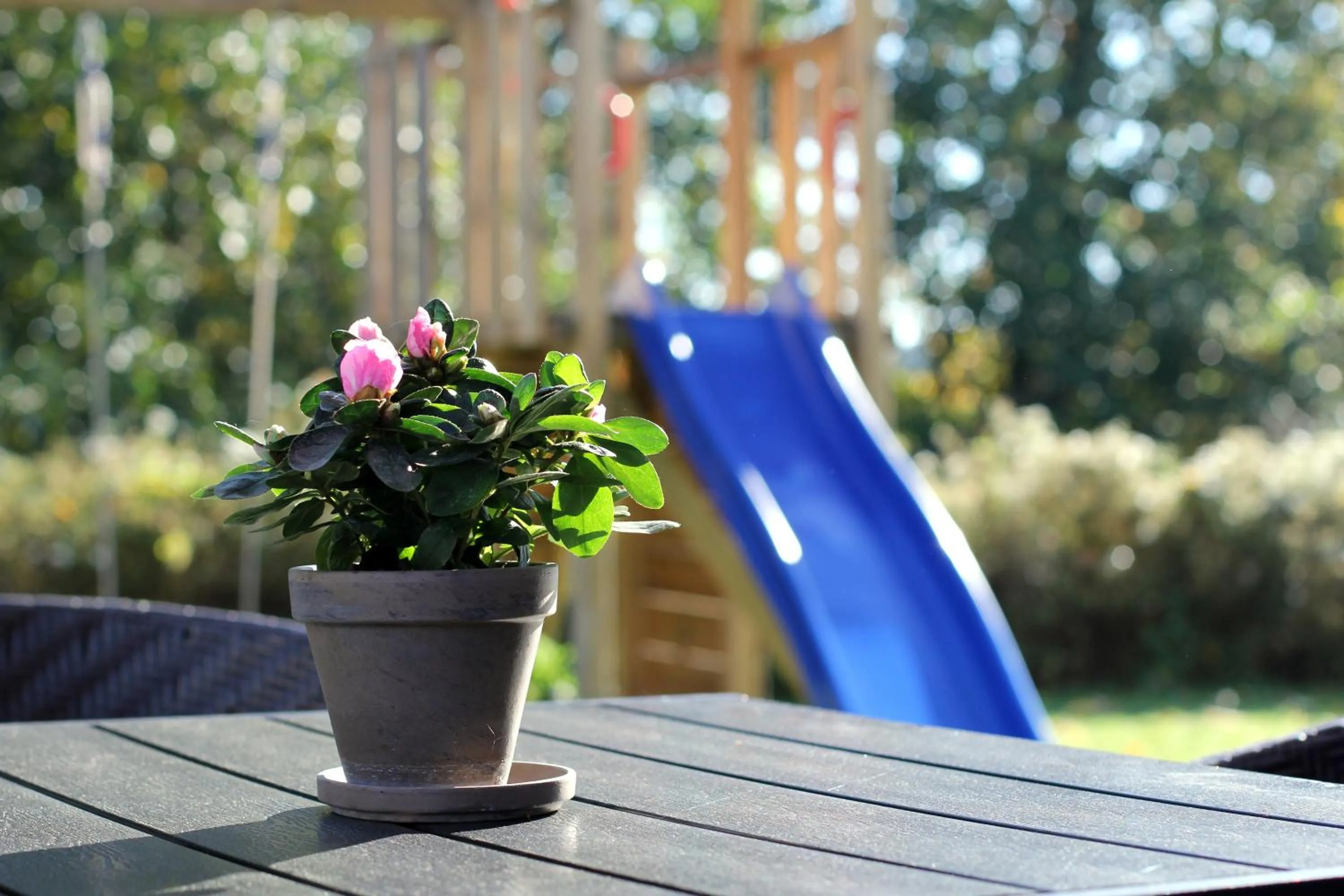 Garden in Hotel Sleep2Night