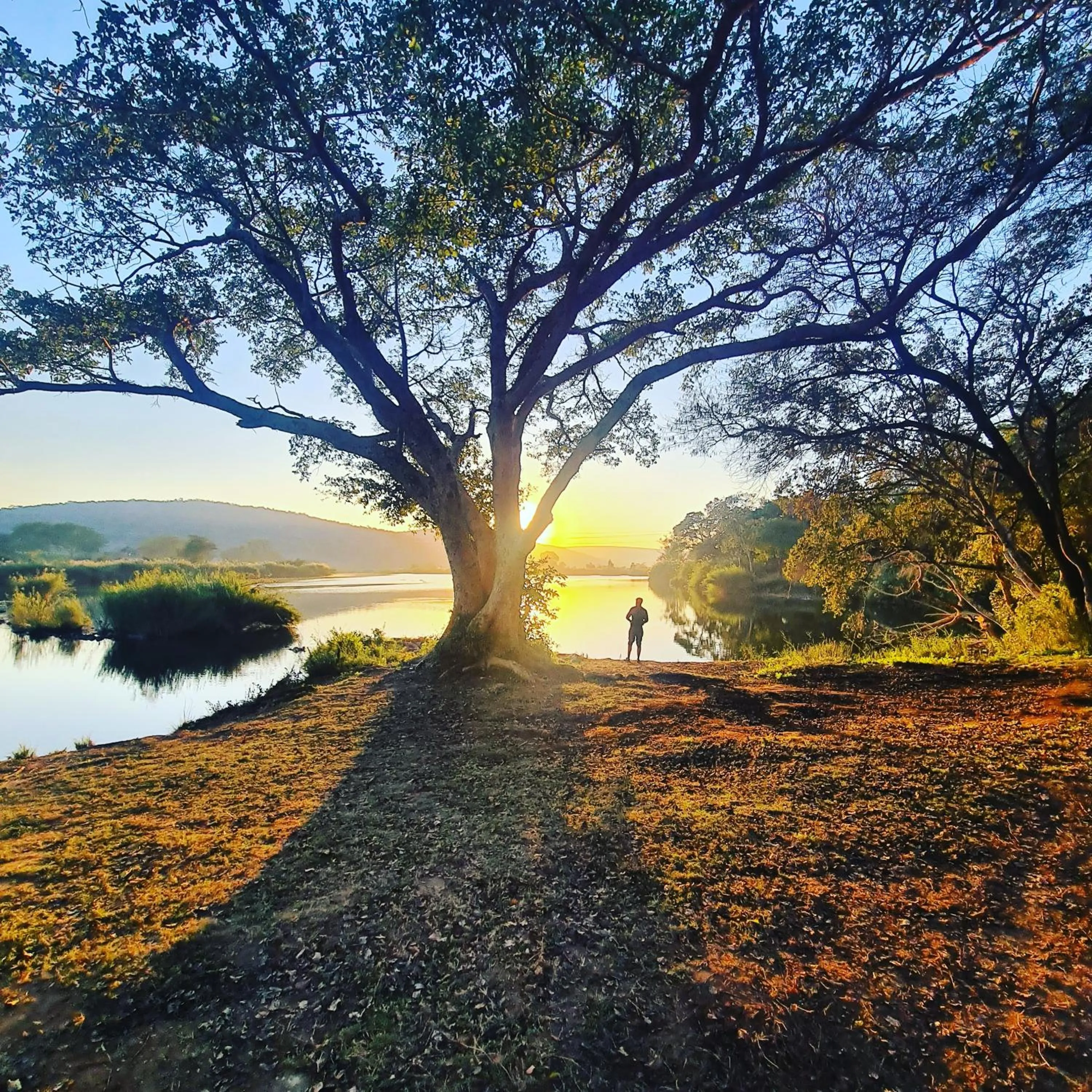 Natural landscape in River Hill Lodge