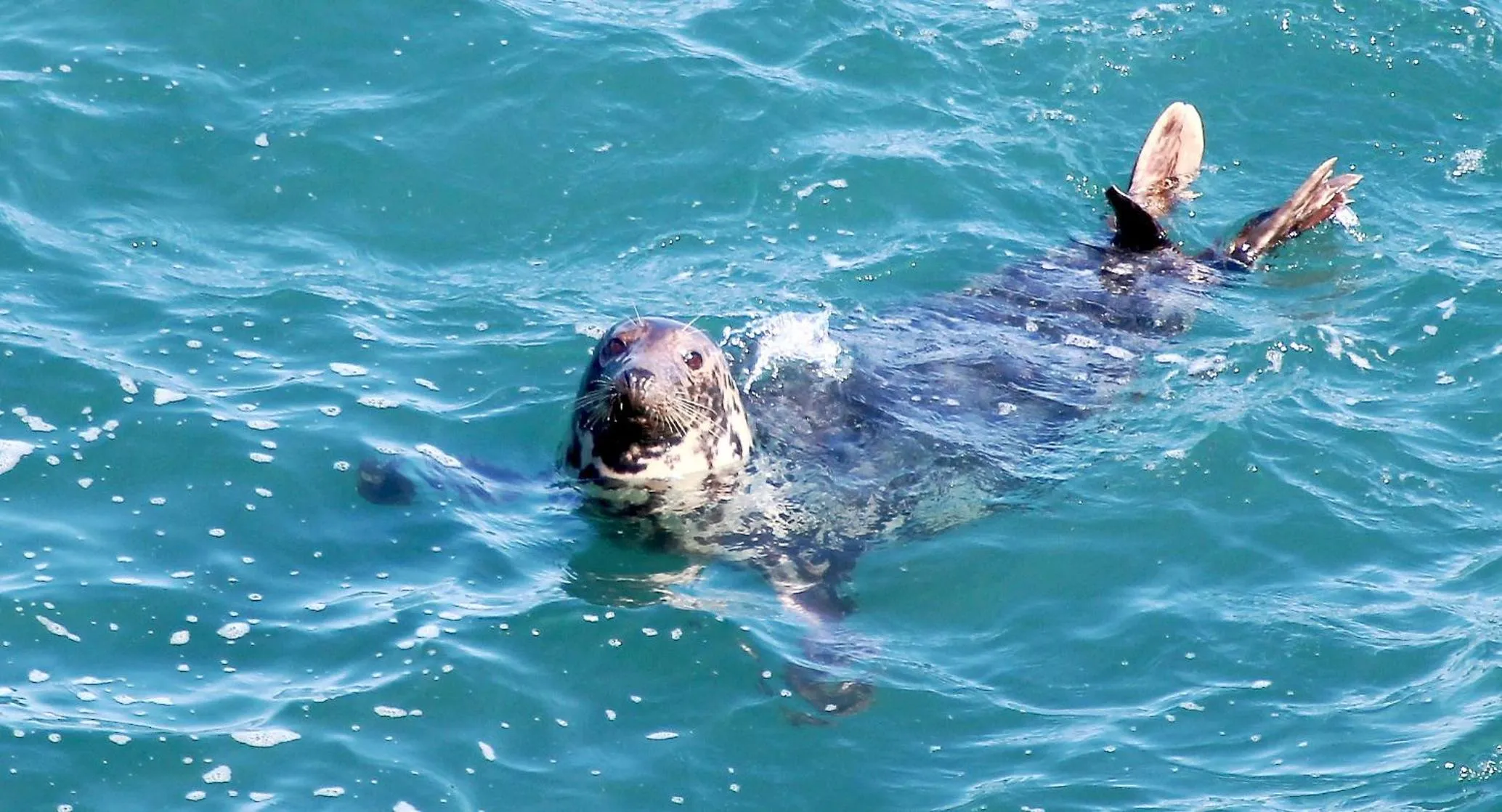 Natural landscape in Watersmeet Hotel