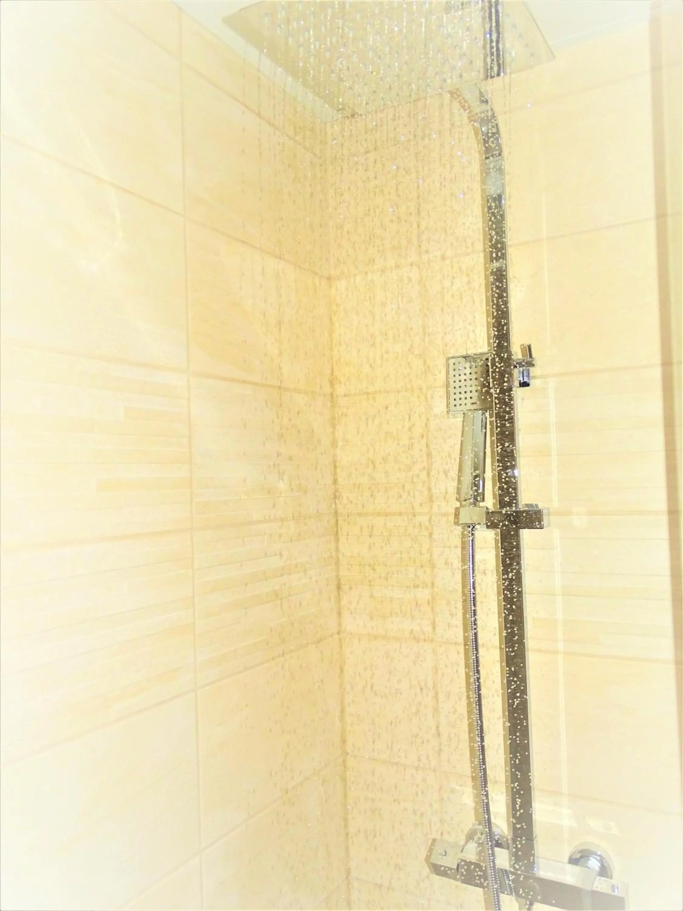 Shower in Euro Hôtel Paris Créteil