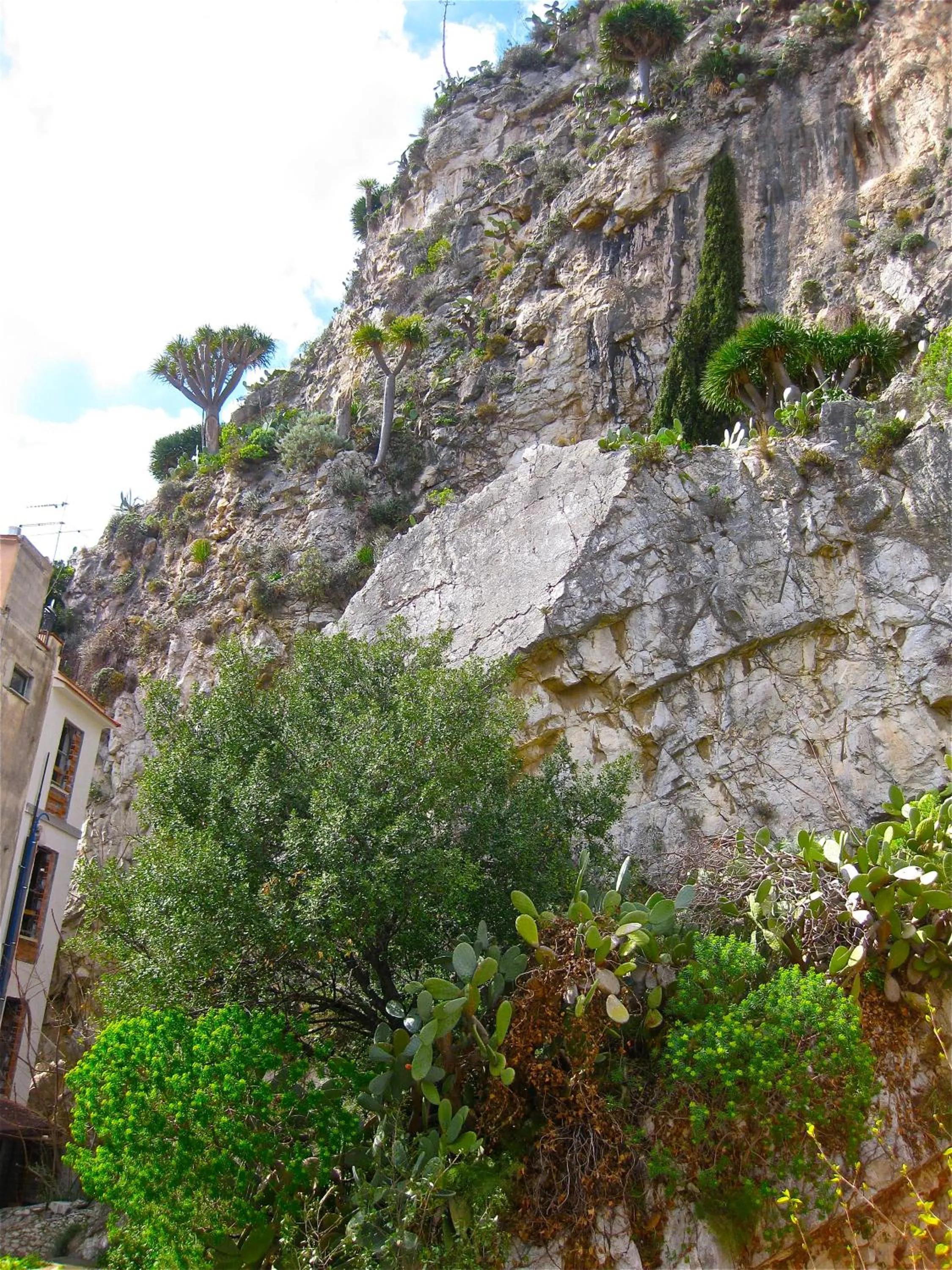 Mountain view in B&B Antonella