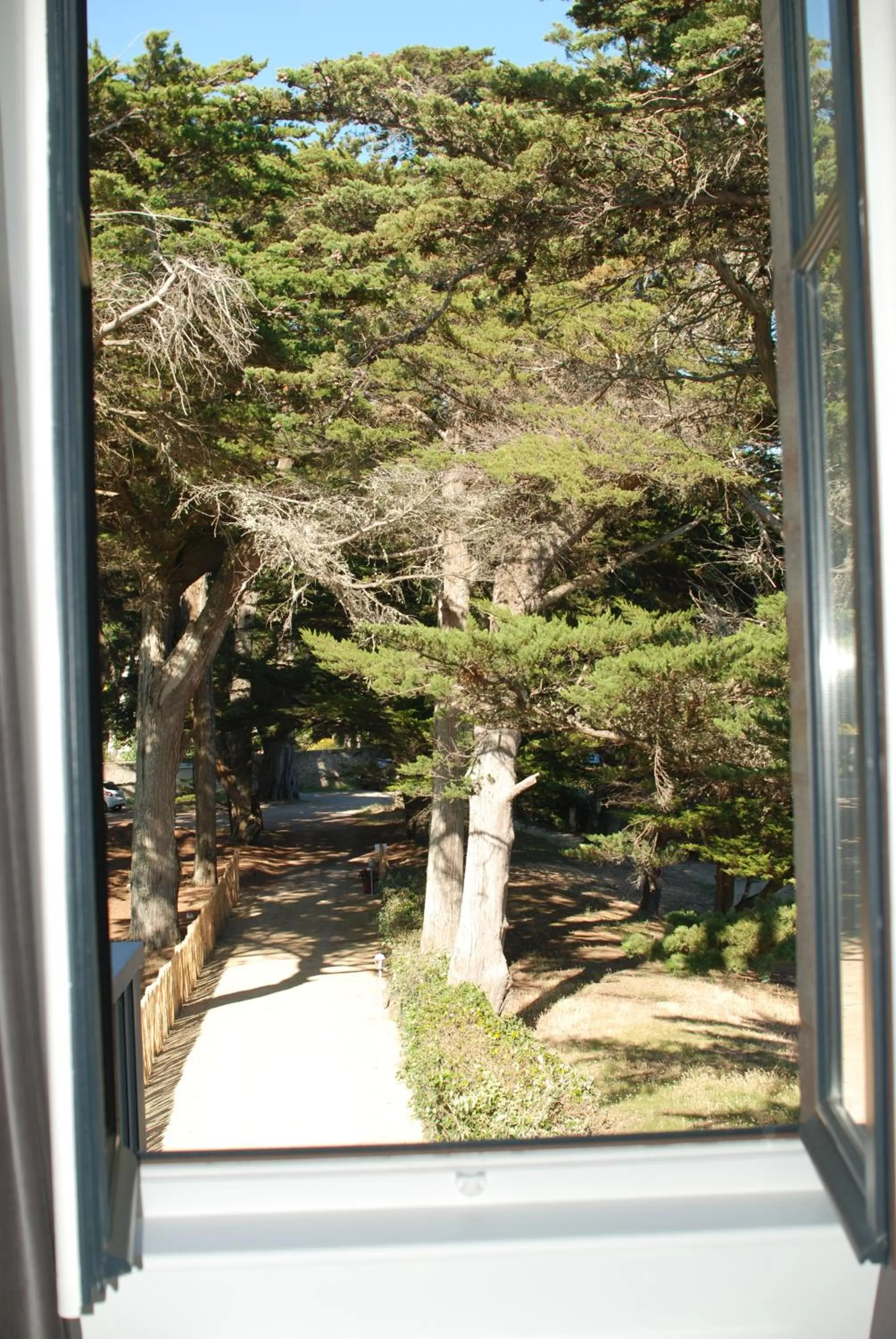 Garden in Villa Belmont