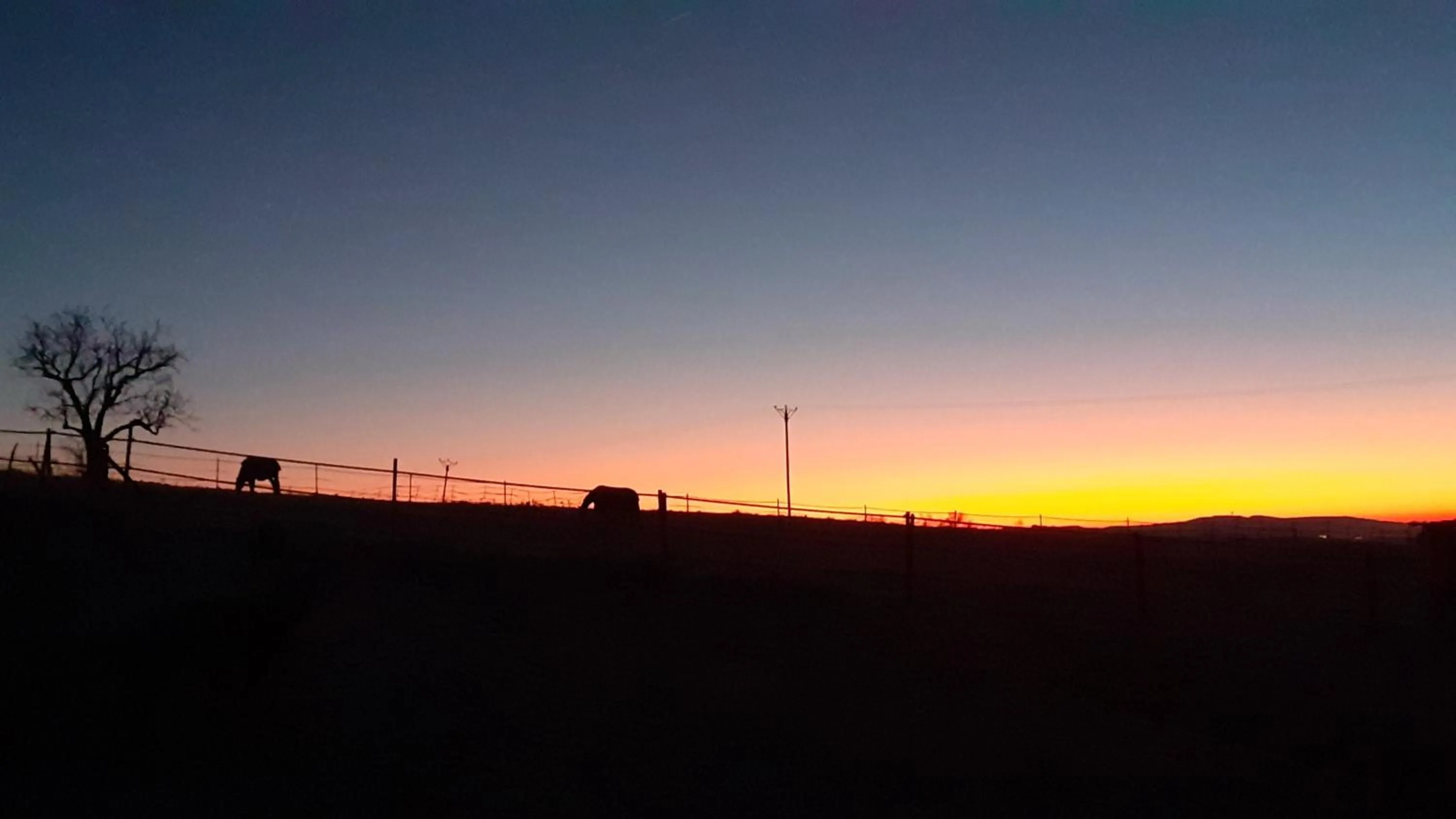 Sunrise/Sunset in Domaine de la Poyat