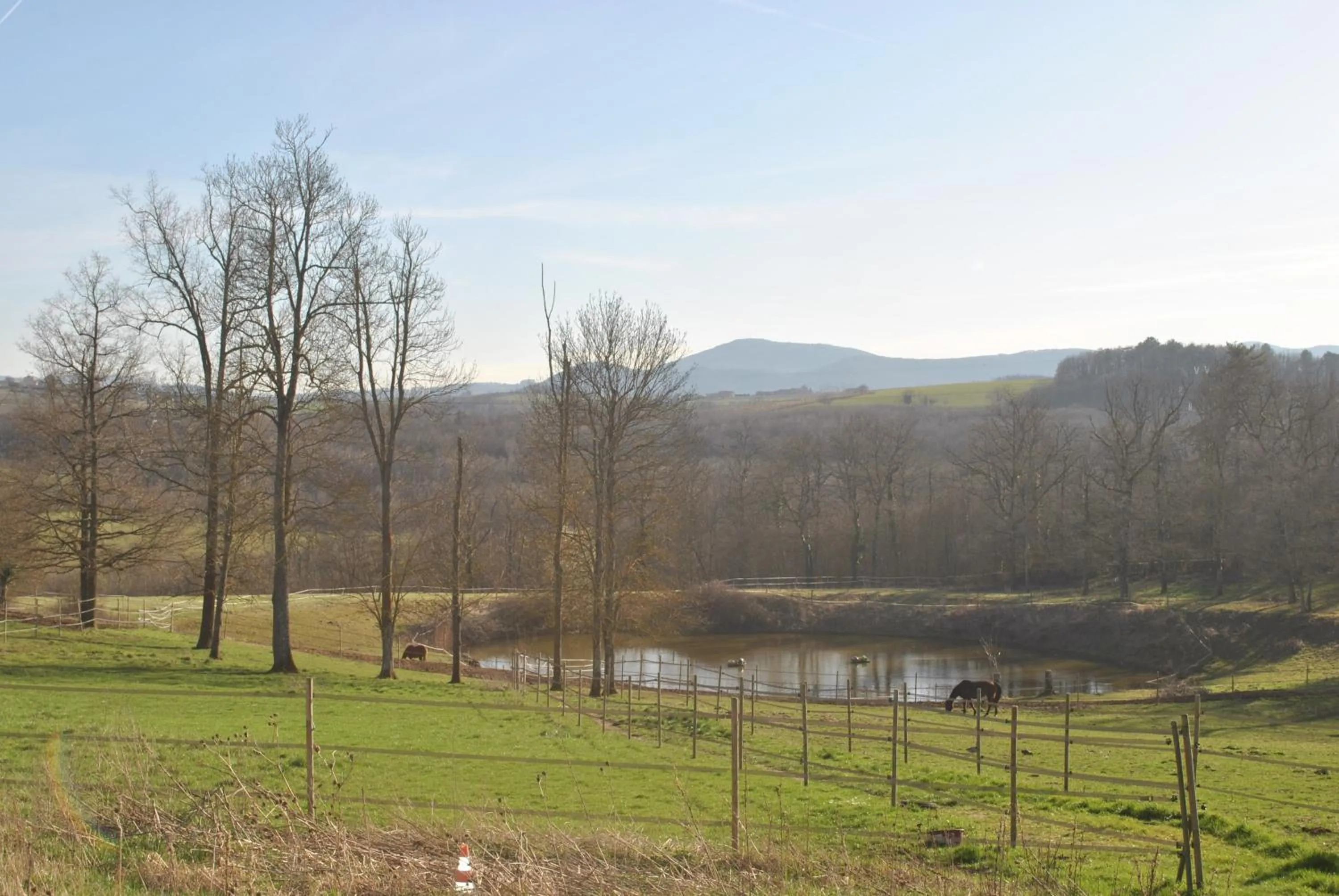 View (from property/room) in Domaine de la Poyat