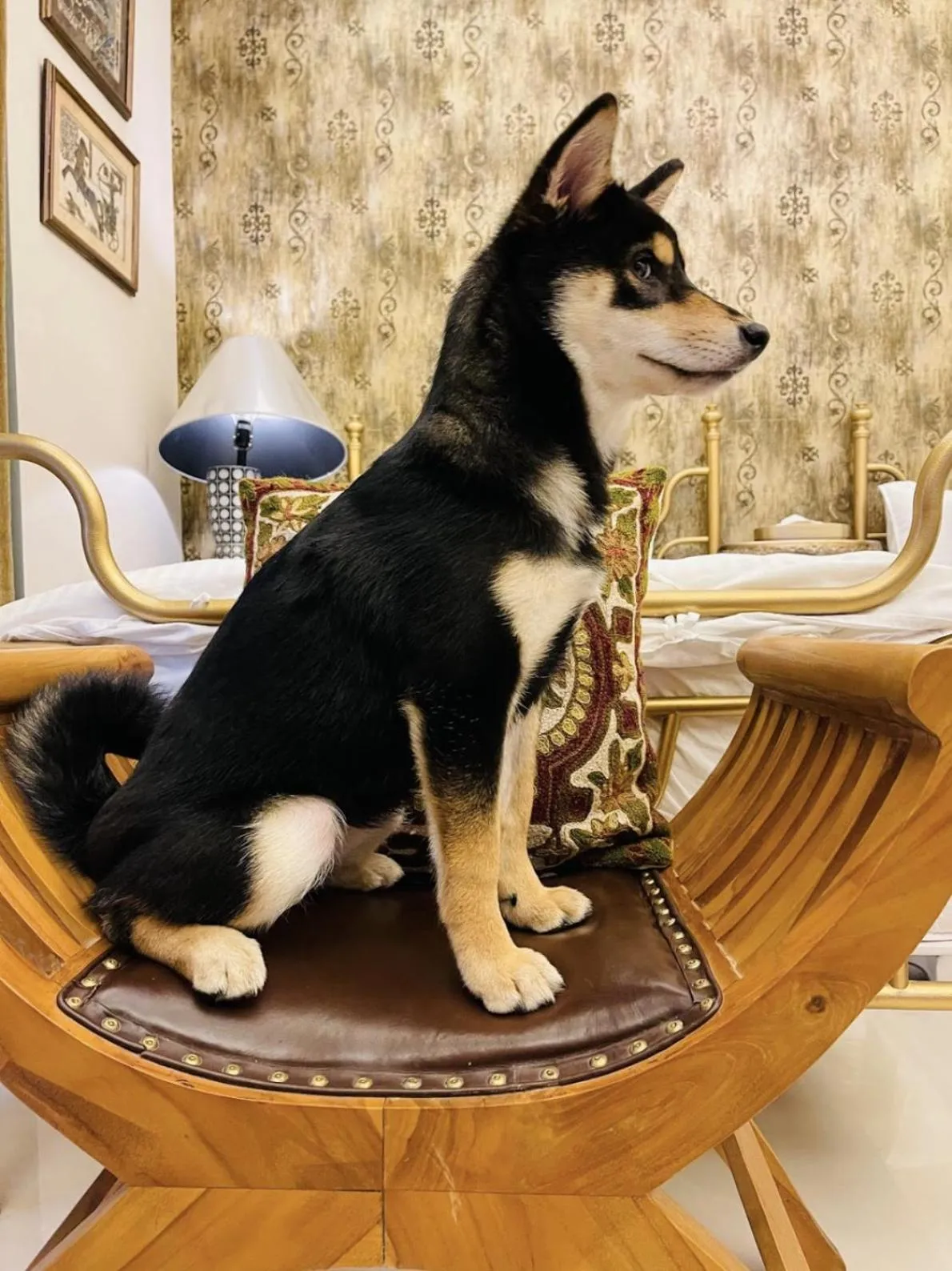 Aria 2 Home (With Elevator)